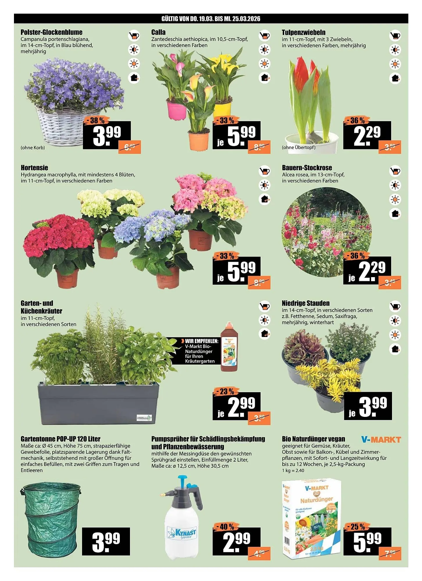 V Baumarkt Prospekt von 19. März bis 26. März 2026 - Prospekt seite 2
