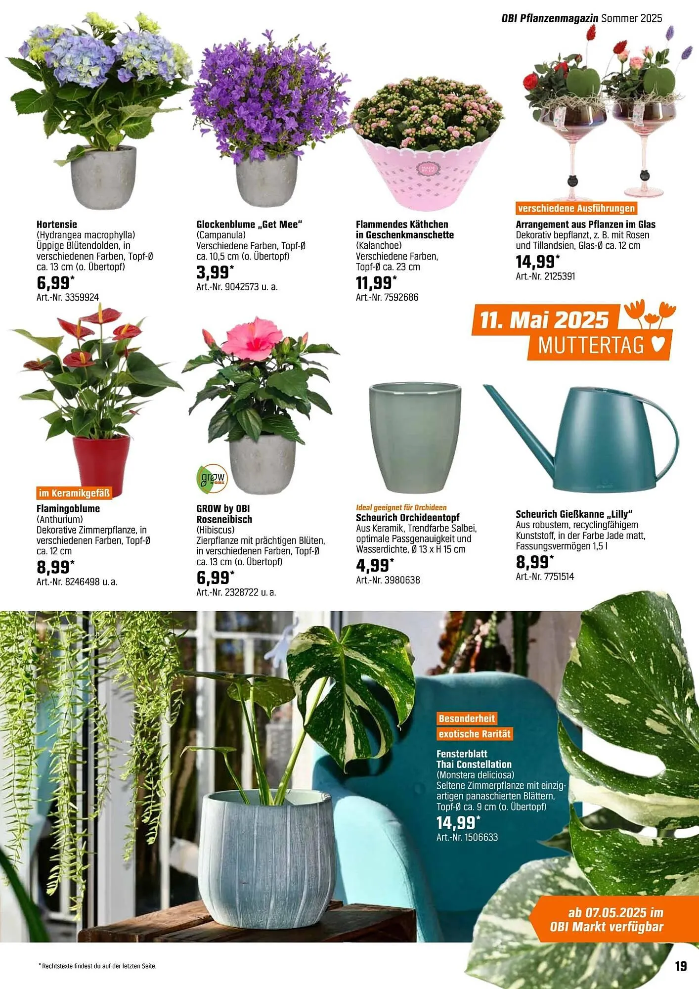 OBI Prospekt von 5. Mai bis 26. Mai 2025 - Prospekt seite 19