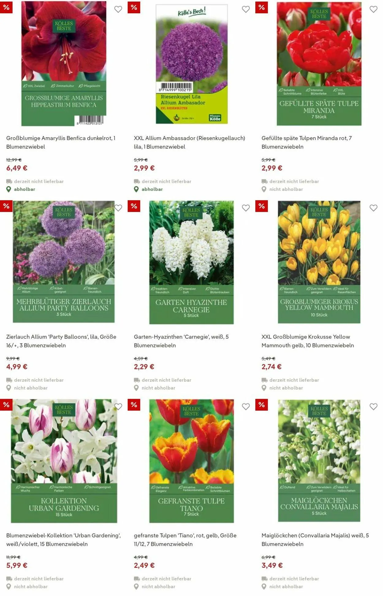 Pflanzen-Kölle Aktueller Prospekt von 15. Dezember bis 24. Dezember 2025 - Prospekt seite 11
