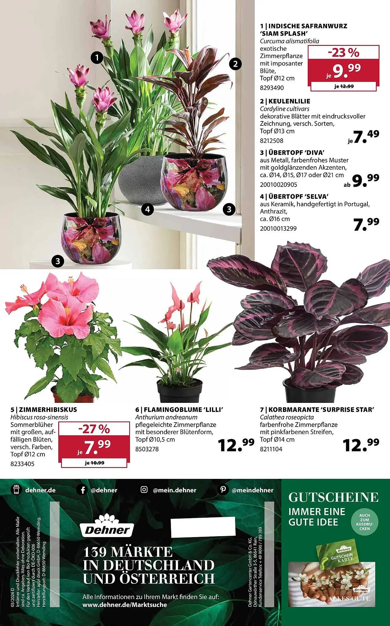 Dehner Prospekt von 21. April bis 27. April 2026 - Prospekt seite 16