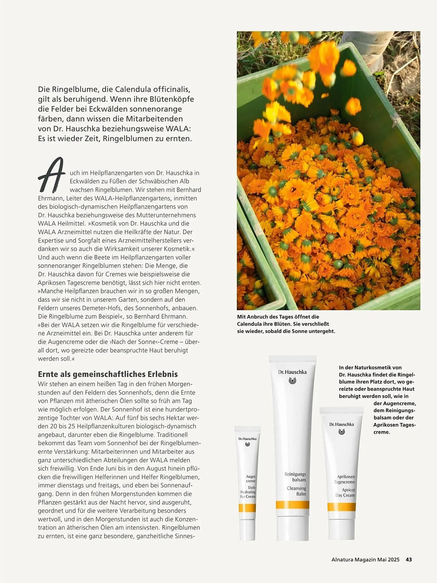Alnatura Prospekt von 2. Mai bis 1. Juni 2025 - Prospekt seite 43