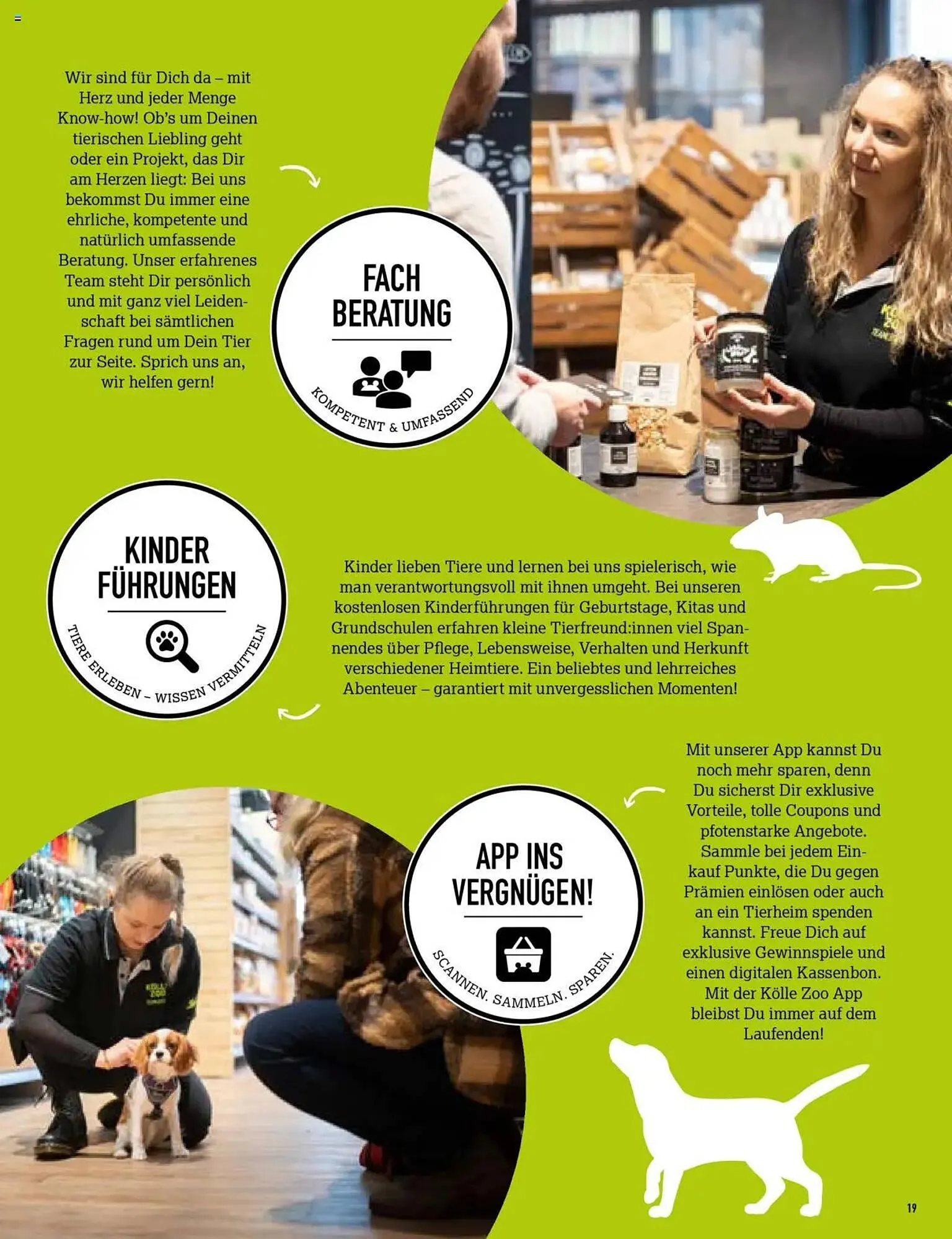 Kölle Zoo Prospekt von 30. Juli bis 6. August 2025 - Prospekt seite 19