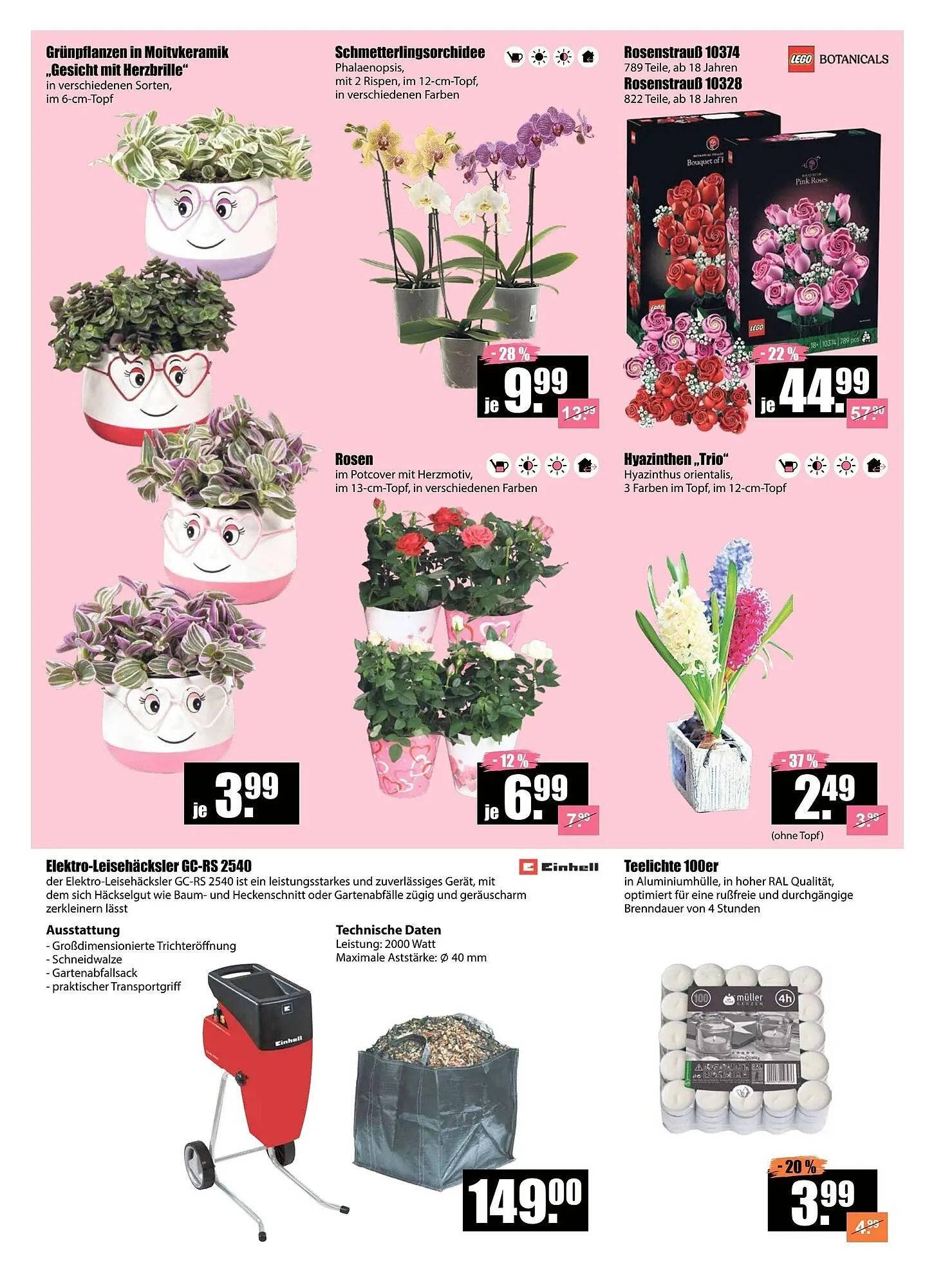 V Baumarkt Prospekt von 12. Februar bis 19. Februar 2026 - Prospekt seite 2