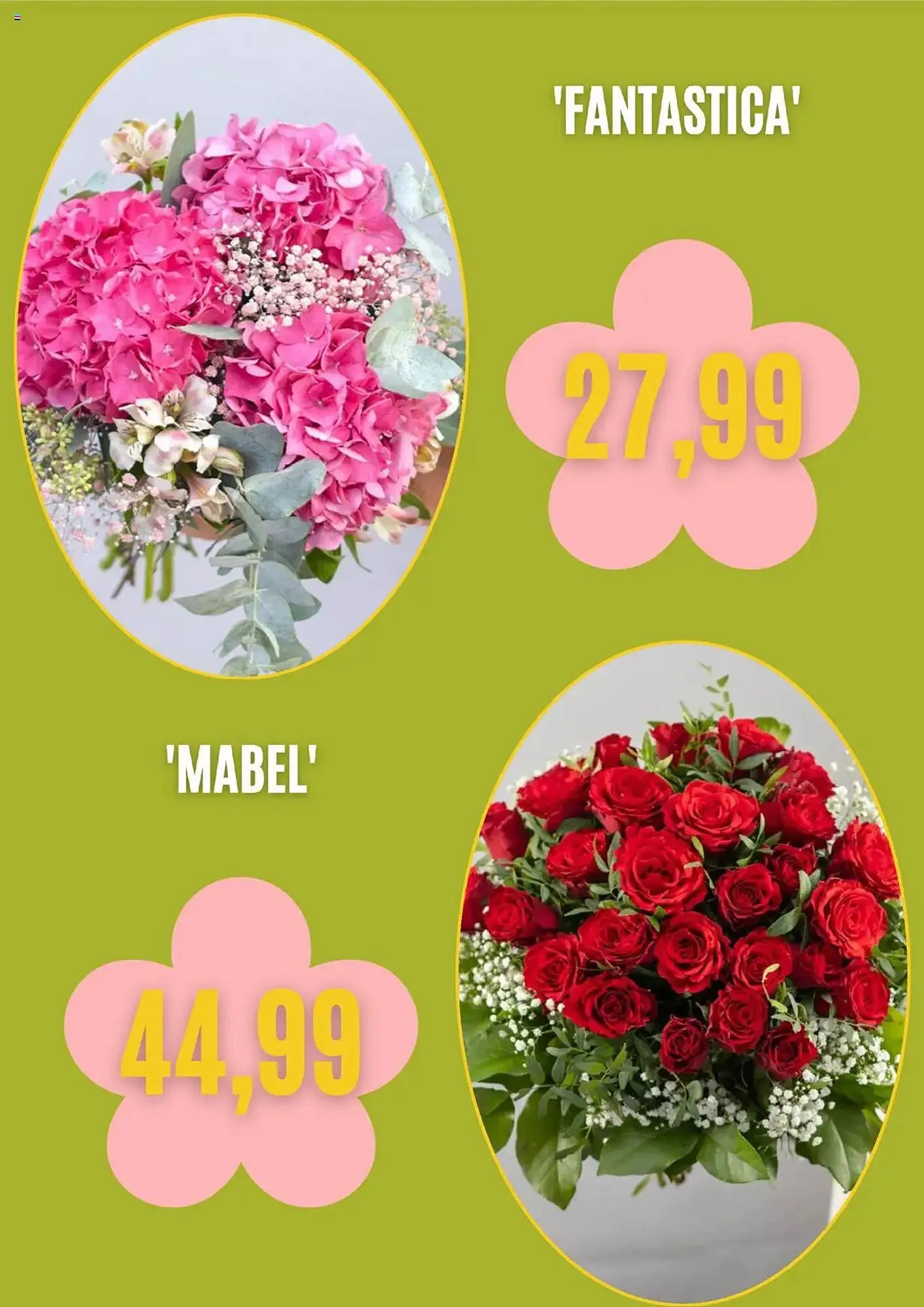 Blumen Risse Prospekt von 1. August bis 30. August 2025 - Prospekt seite 5