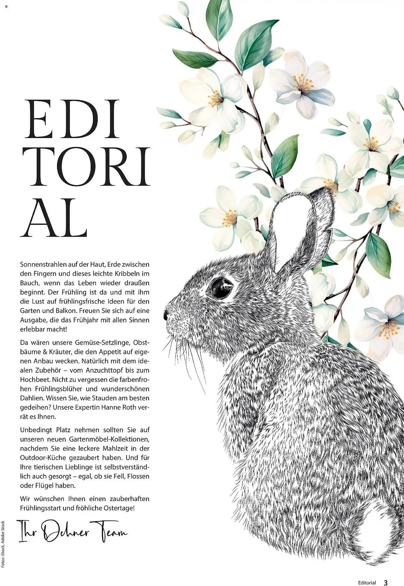 Dehner Prospekt von 4. März bis 31. Mai 2026 - Prospekt seite 3