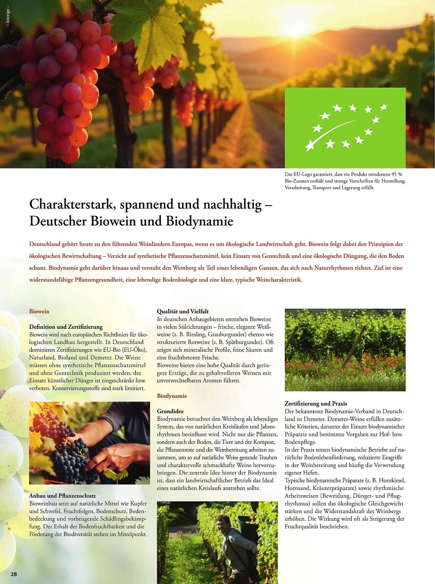 Basic Prospekt von 5. Dezember bis 6. Dezember 2025 - Prospekt seite 30