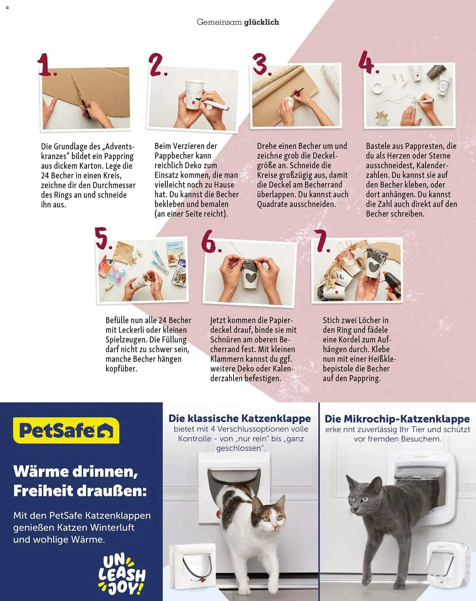 Fressnapf Magazin von 1. November bis 31. Dezember 2025 - Prospekt seite 43