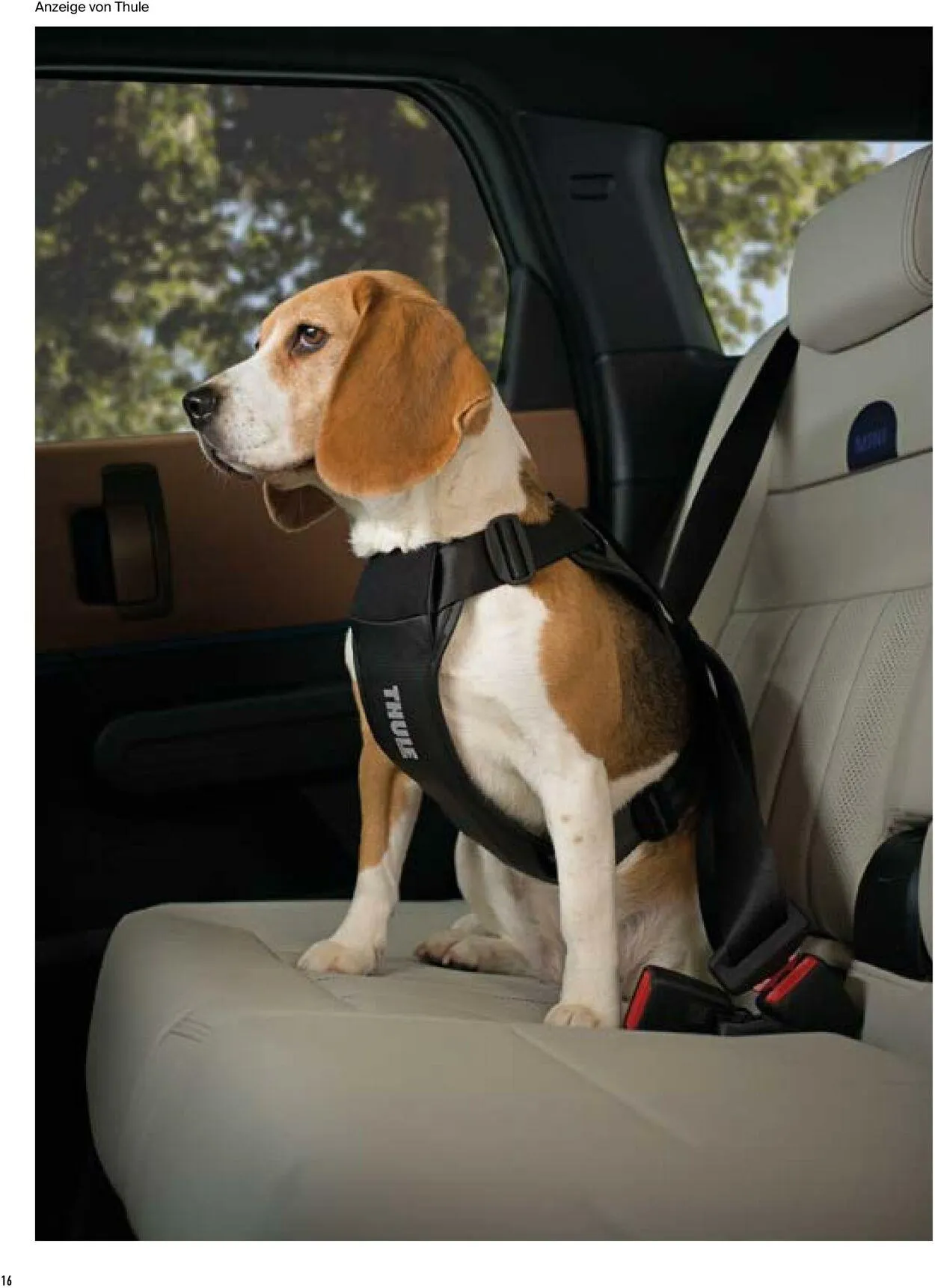 Kölle Zoo Aktueller Prospekt von 2. Juli bis 16. Juli 2025 - Prospekt seite 16