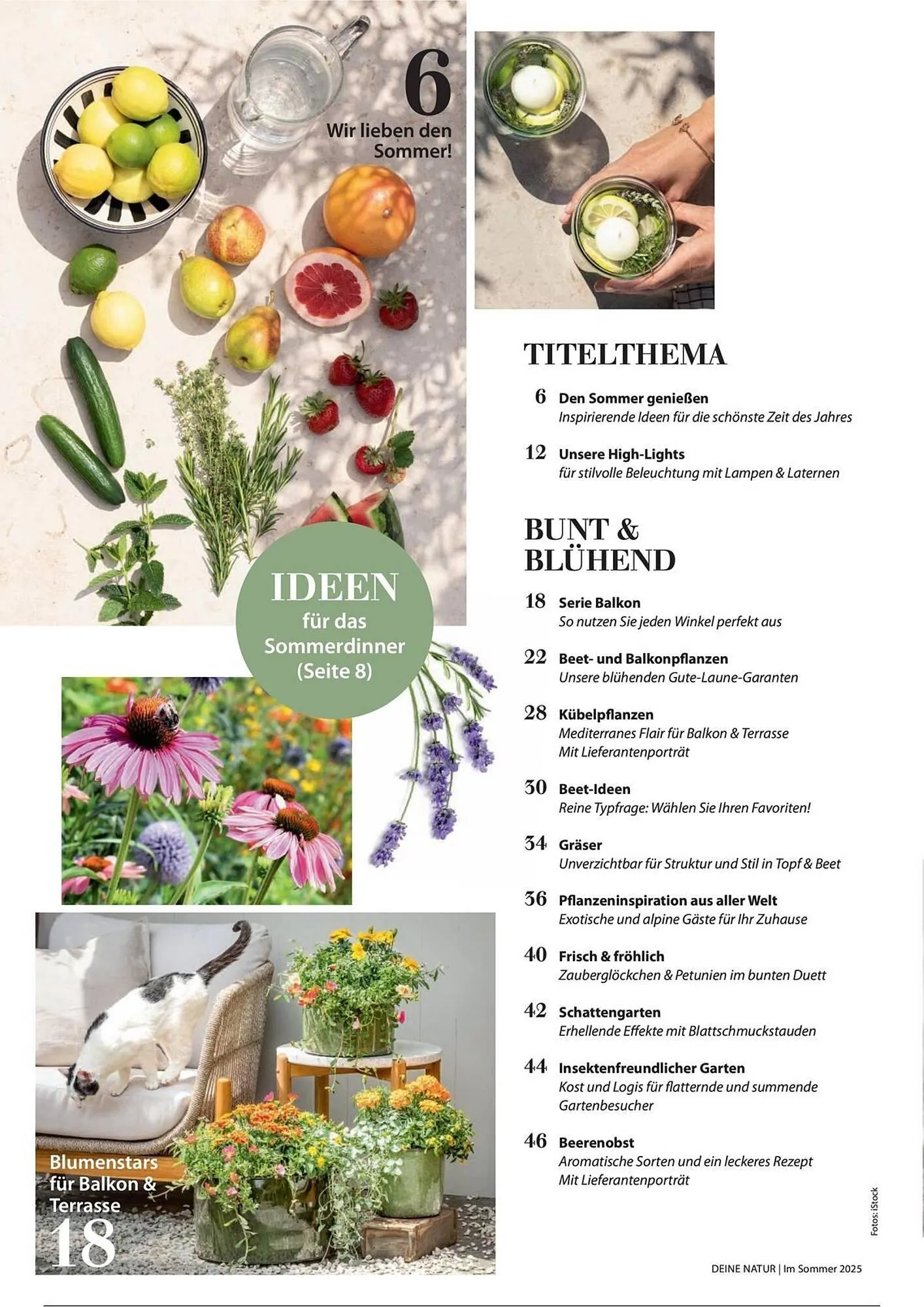 Dehner Prospekt von 1. Juli bis 31. Dezember 2025 - Prospekt seite 4