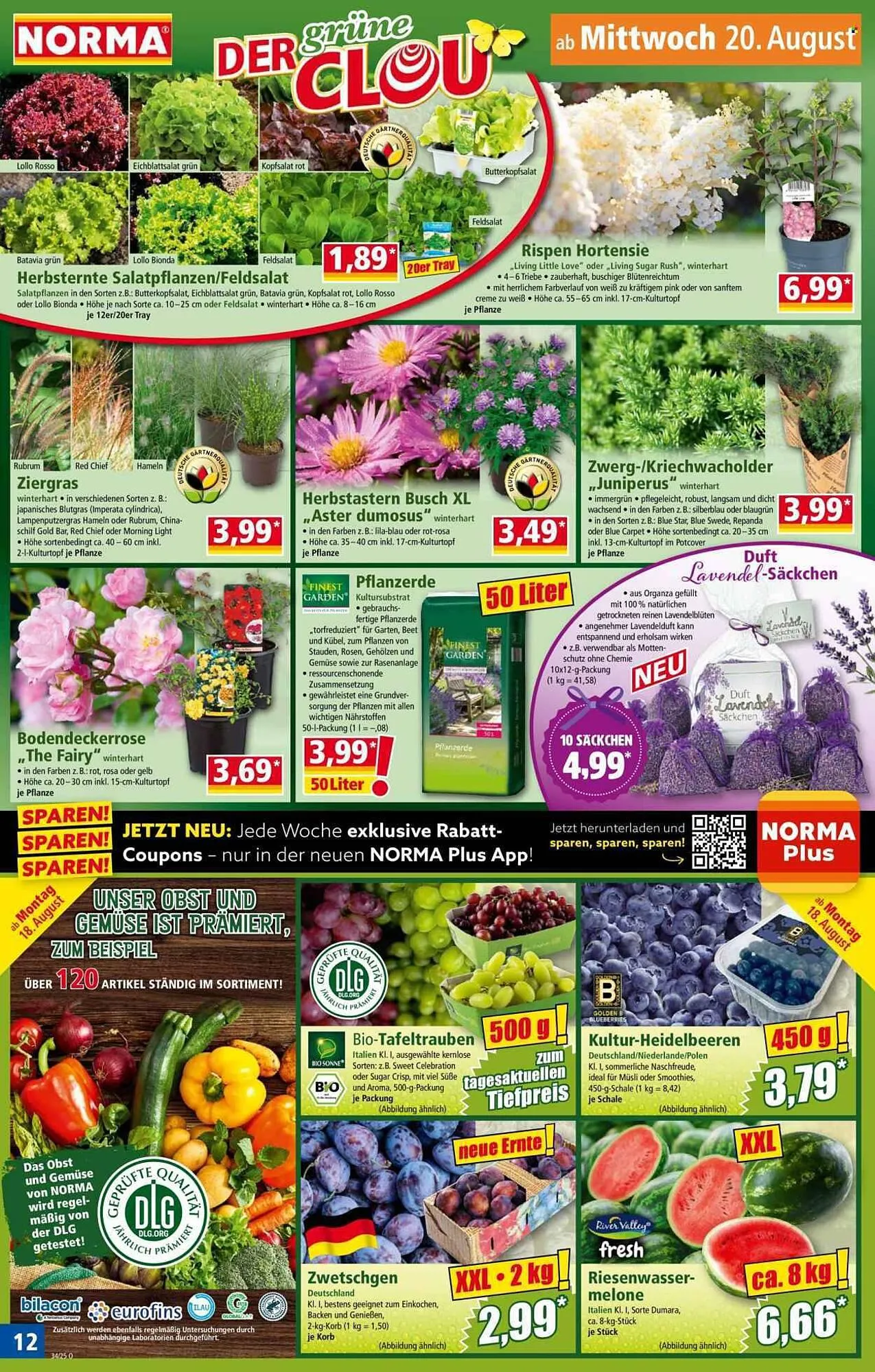 Norma Prospekt von 18. August bis 24. August 2025 - Prospekt seite 12