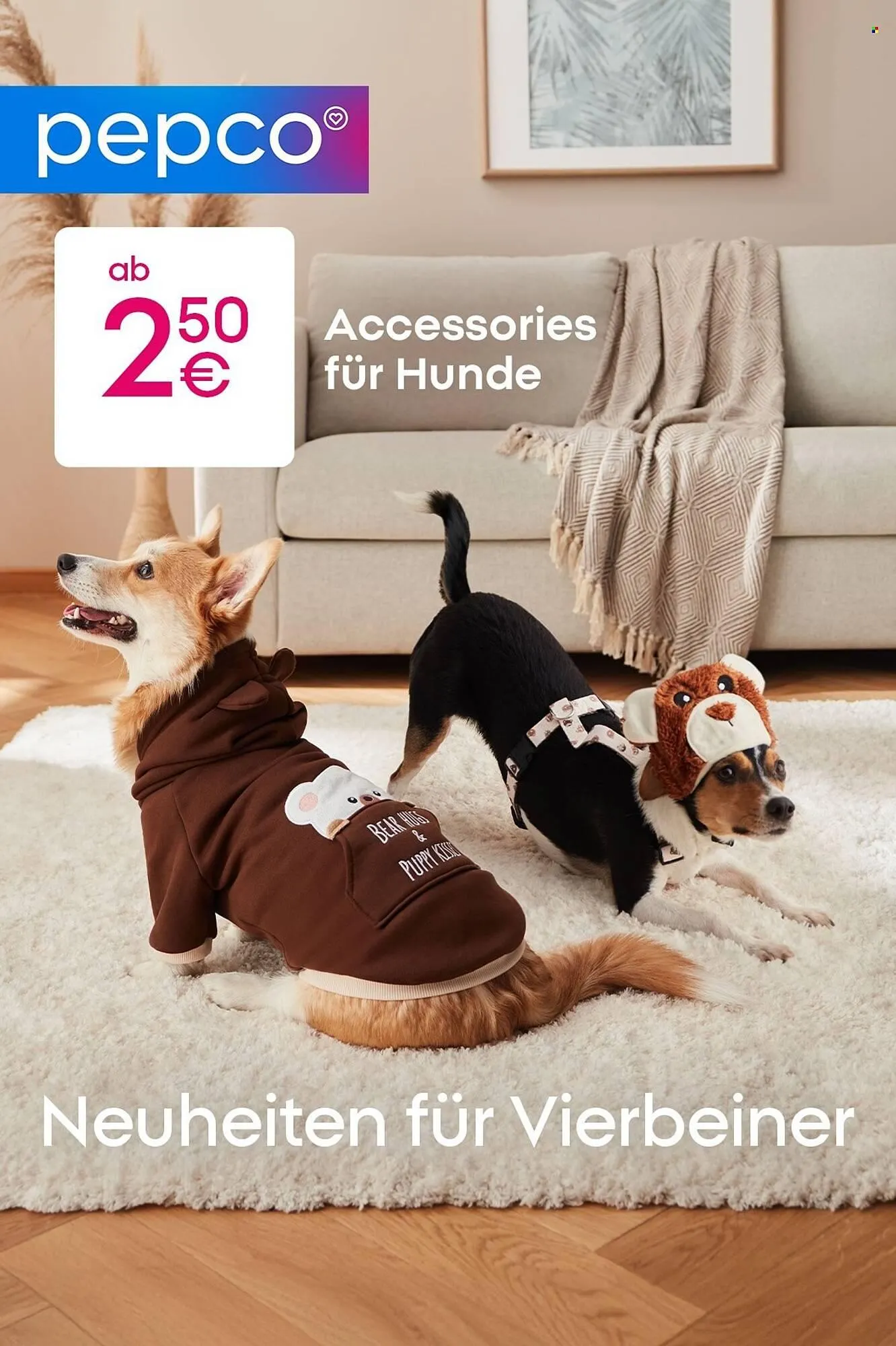 PEPCO Prospekt von 12. Januar bis 20. Januar 2026 - Prospekt seite 1