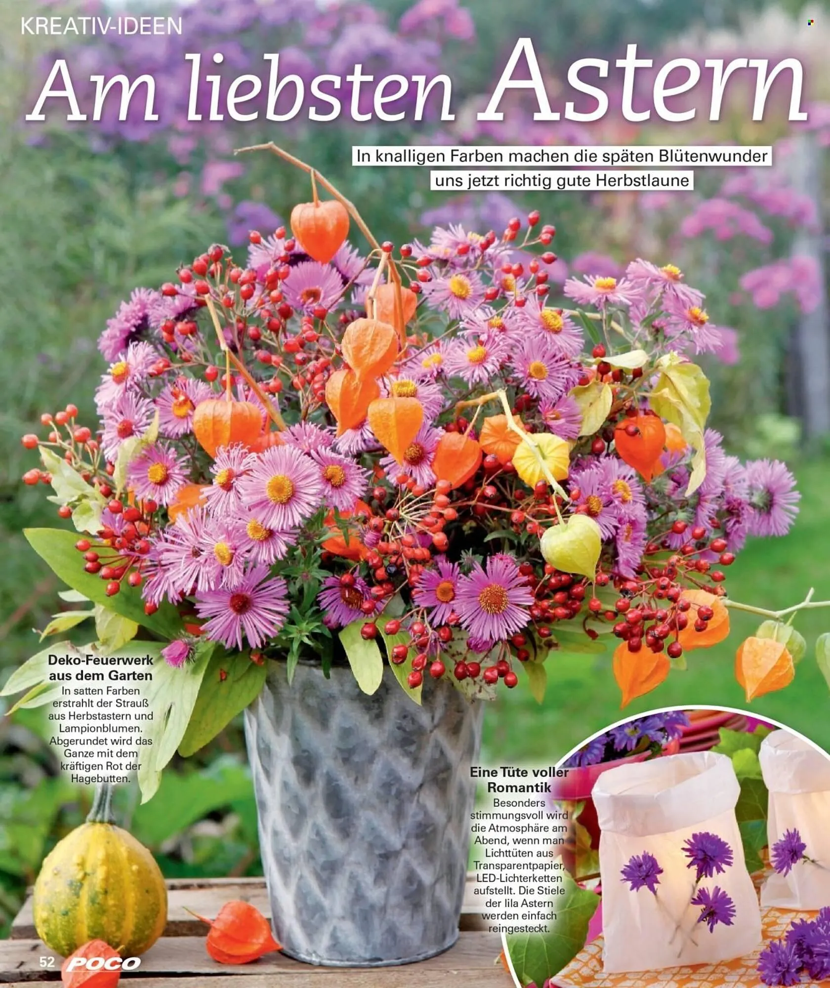 Poco Magazin von 1. September bis 30. November 2025 - Prospekt seite 52