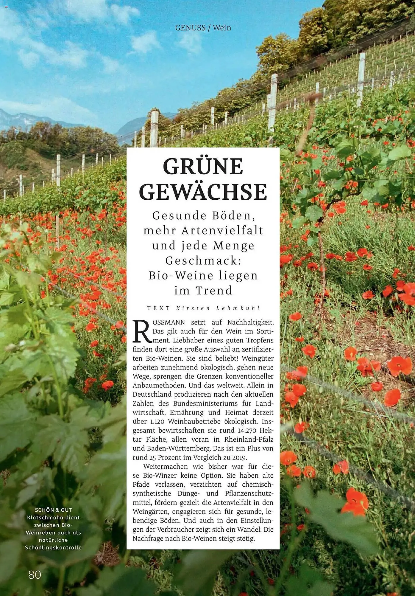 Rossmann Magazin von 1. November bis 30. November 2025 - Prospekt seite 80