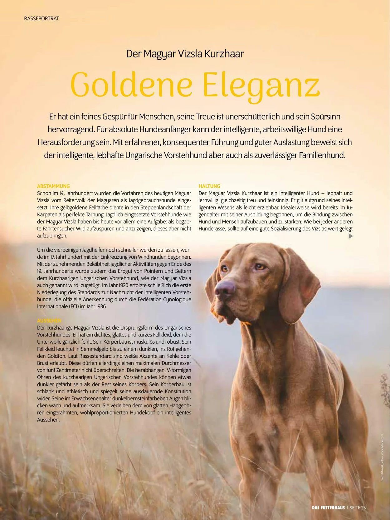 Futterhaus Aktueller Prospekt von 1. Dezember bis 31. Dezember 2025 - Prospekt seite 25