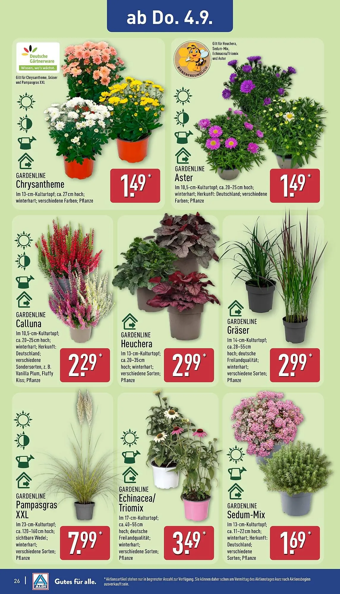 Aldi Nord Prospekt von 1. September bis 6. September 2025 - Prospekt seite 26