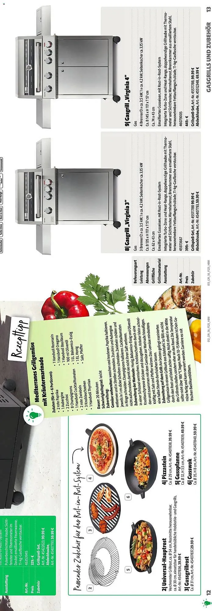 Hagebau Prospekt von 1. März bis 31. Dezember 2025 - Prospekt seite 13