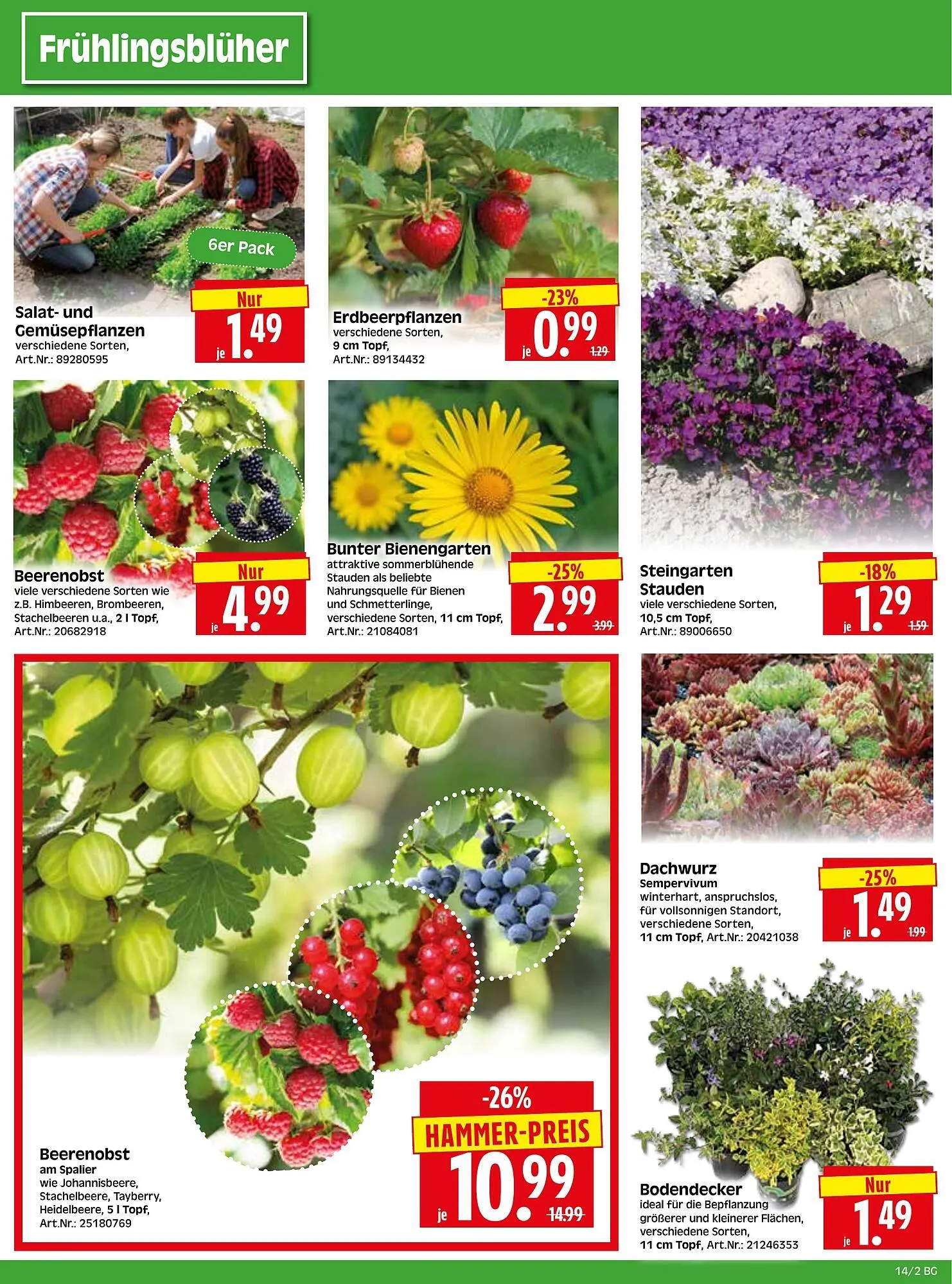 Herkules Baumarkt Prospekt von 31. März bis 5. April 2025 - Prospekt seite 2