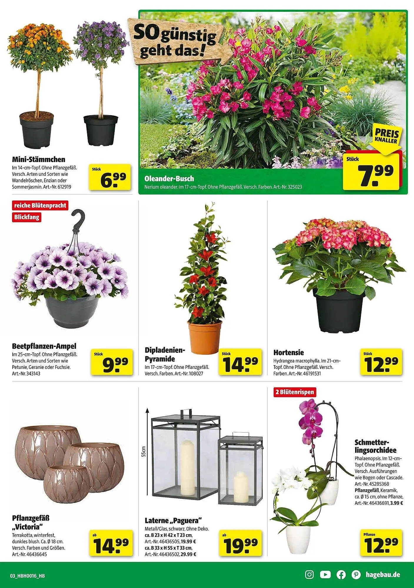 Hagebau Prospekt von 12. April bis 19. April 2025 - Prospekt seite 3