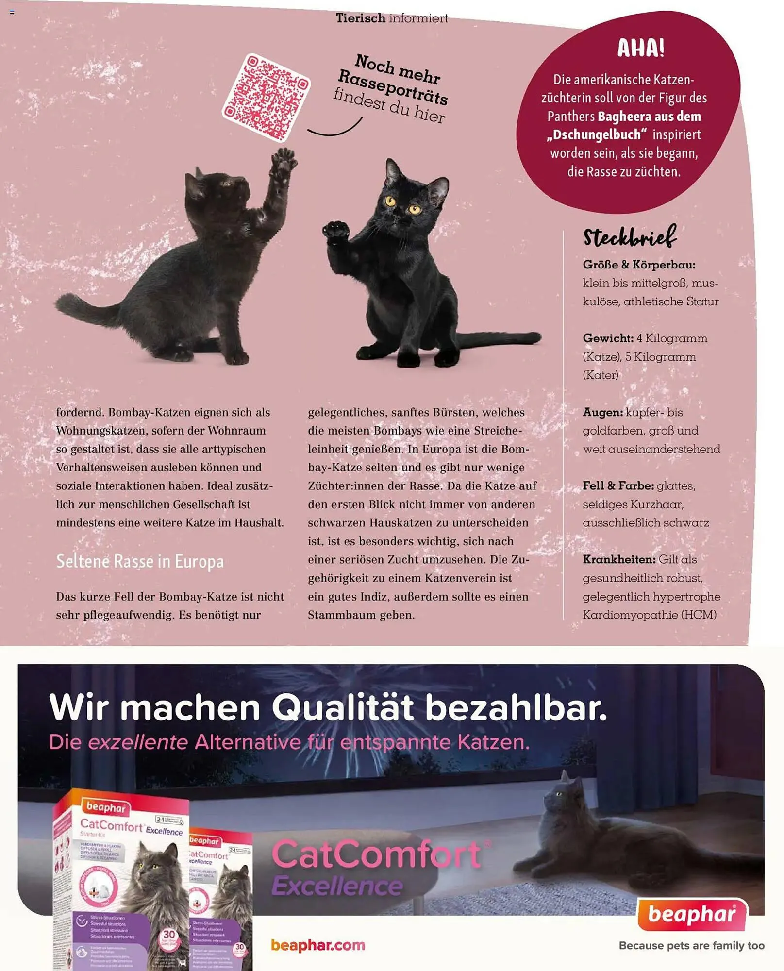 Fressnapf Magazin von 1. November bis 31. Dezember 2025 - Prospekt seite 35