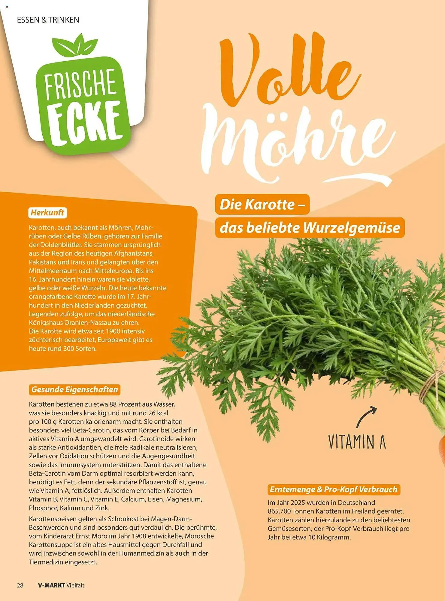 V Markt Magazin von 1. Mai bis 30. Juni 2026 - Prospekt seite 28