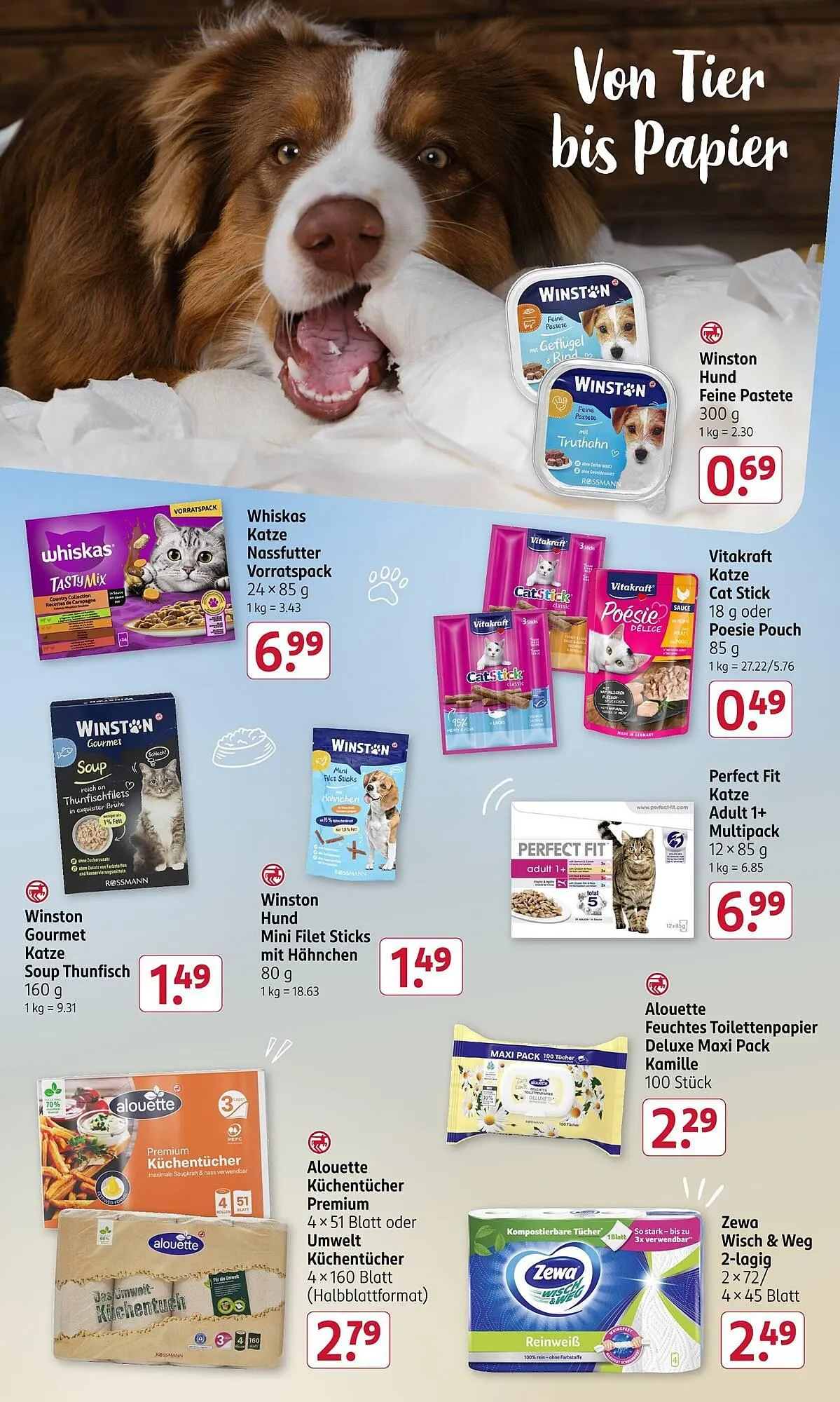 Rossmann Prospekt von 3. November bis 7. November 2025 - Prospekt seite 19