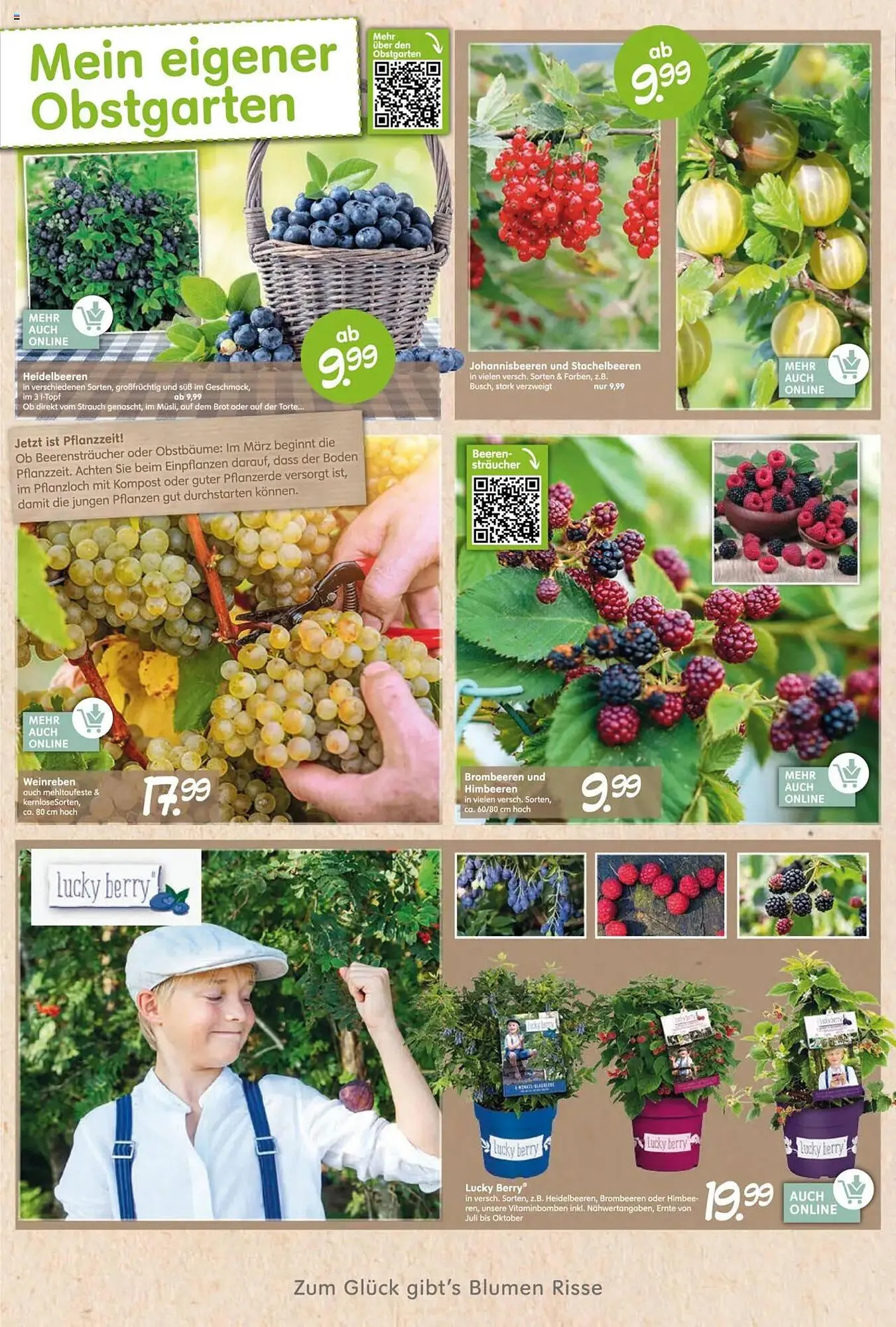 Blumen Risse Prospekt von 27. März bis 6. April 2025 - Prospekt seite 4