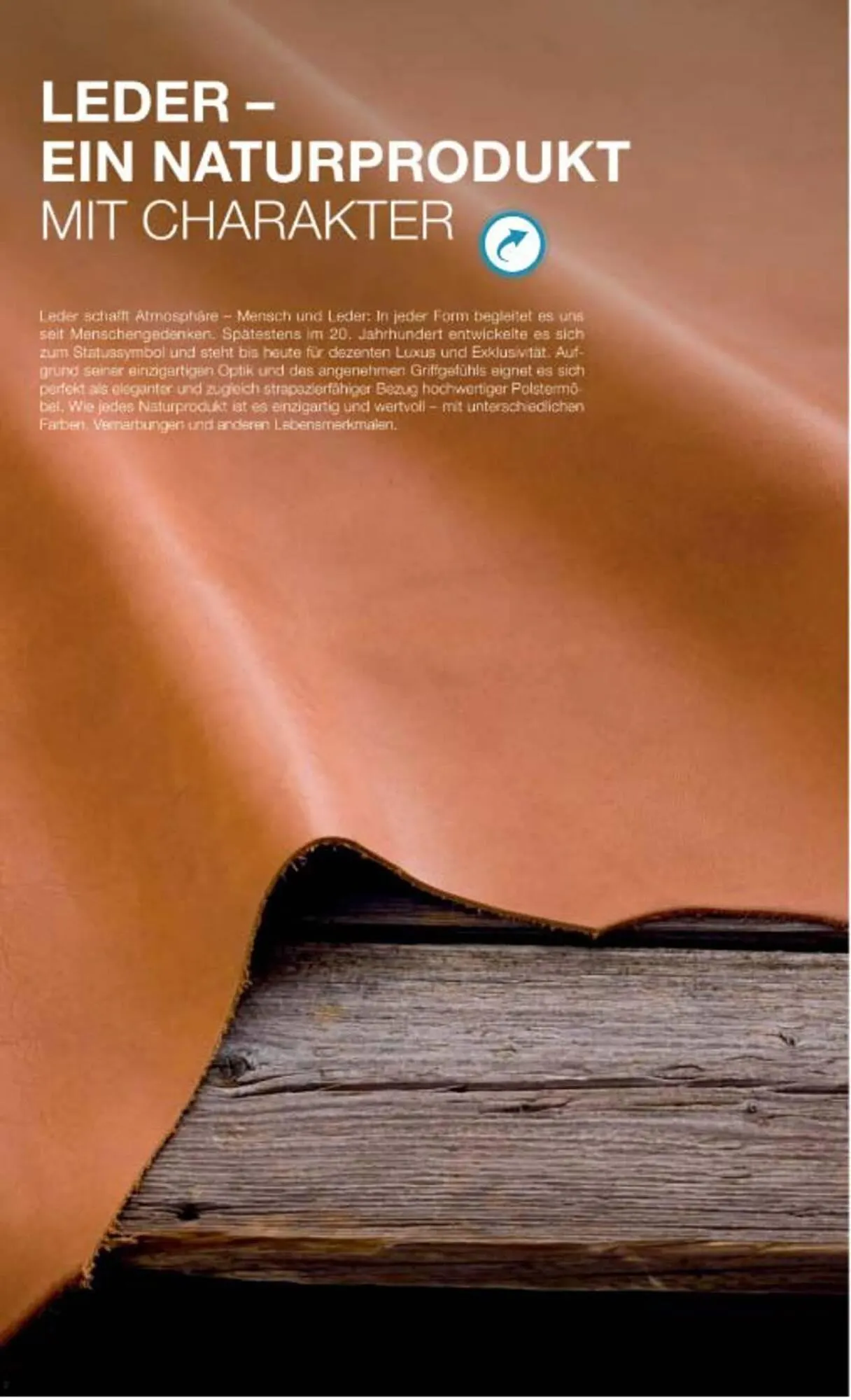 Multipolster Prospekt von 11. Februar bis 24. Februar 2026 - Prospekt seite 4