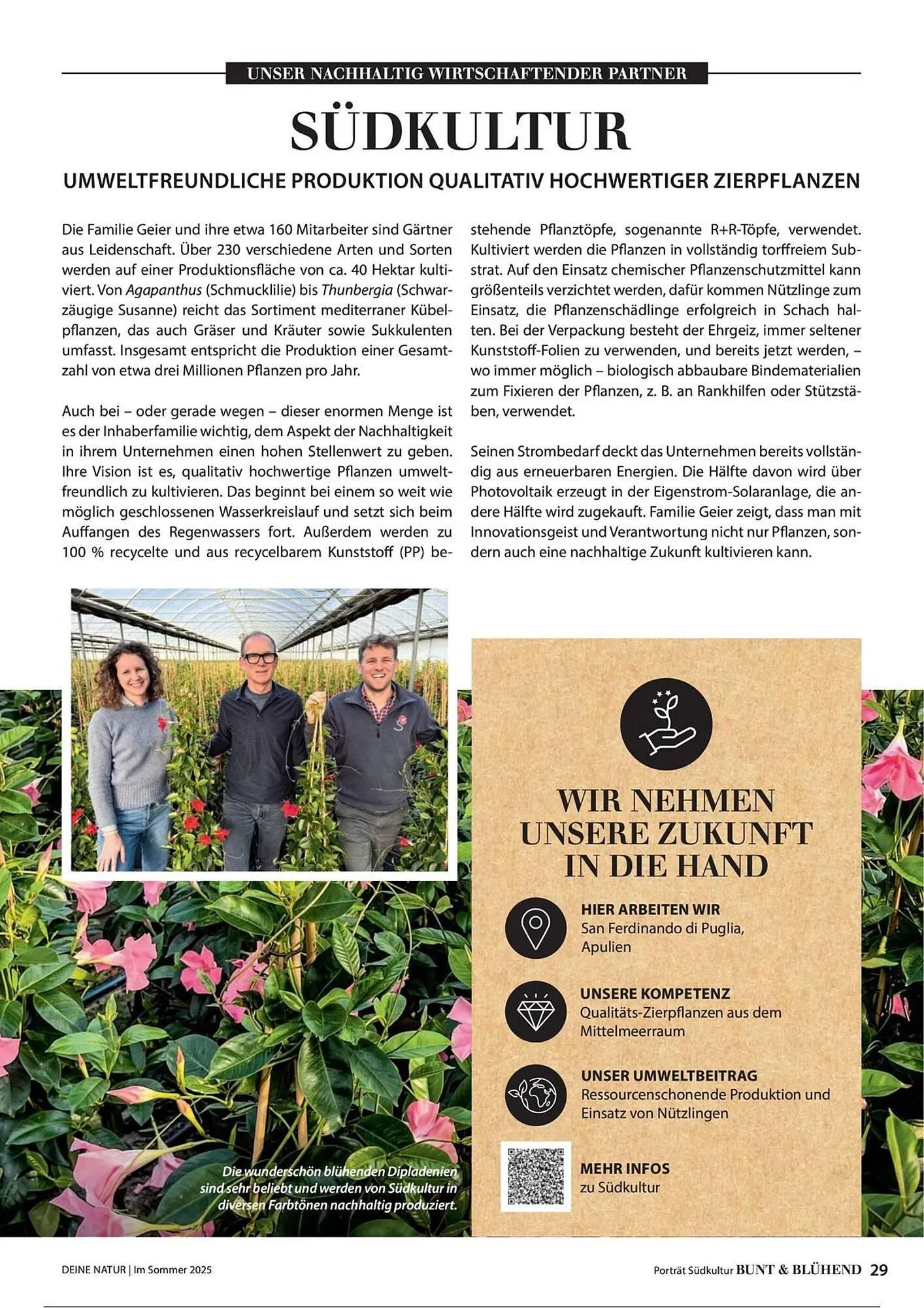 Dehner Prospekt von 1. Juli bis 31. Dezember 2025 - Prospekt seite 29