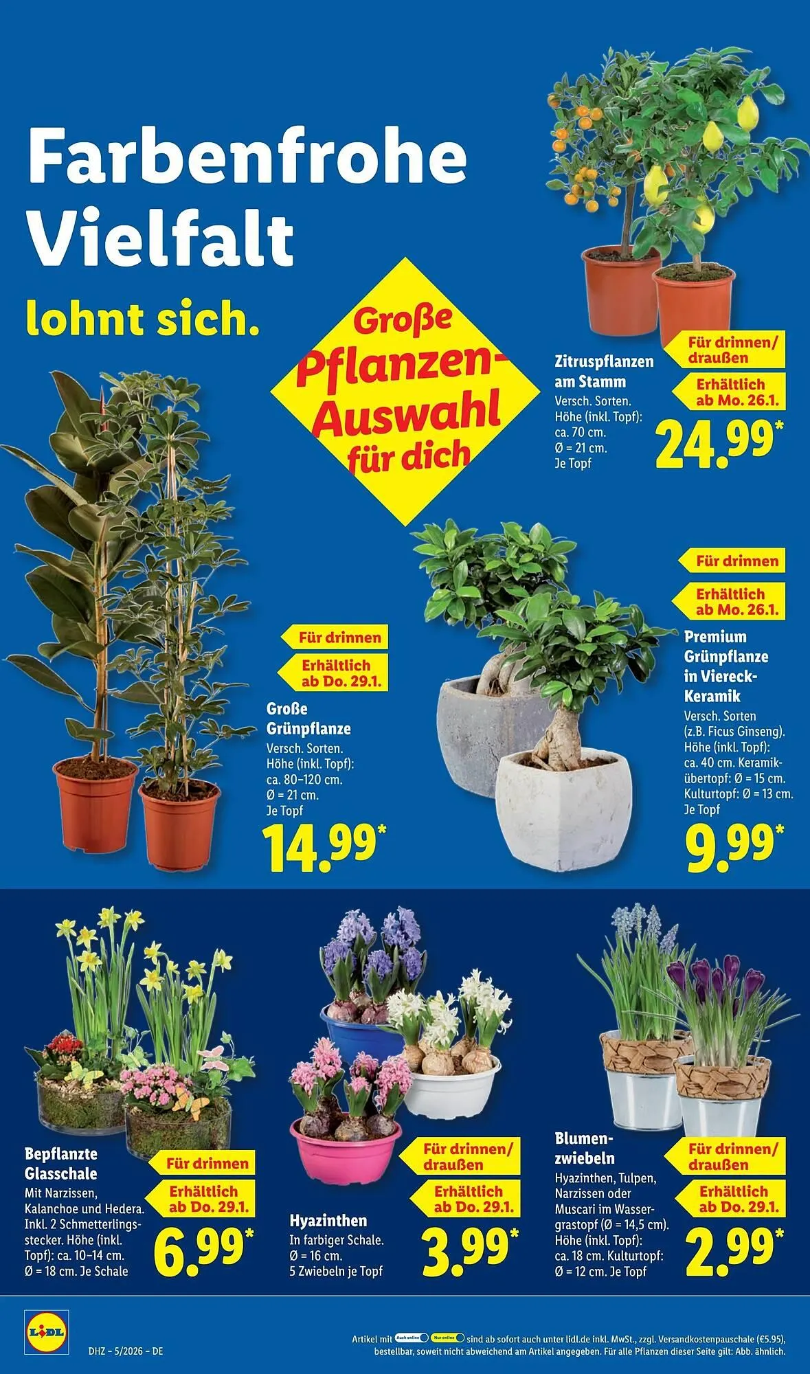 Lidl Prospekt von 26. Januar bis 1. Februar 2026 - Prospekt seite 64
