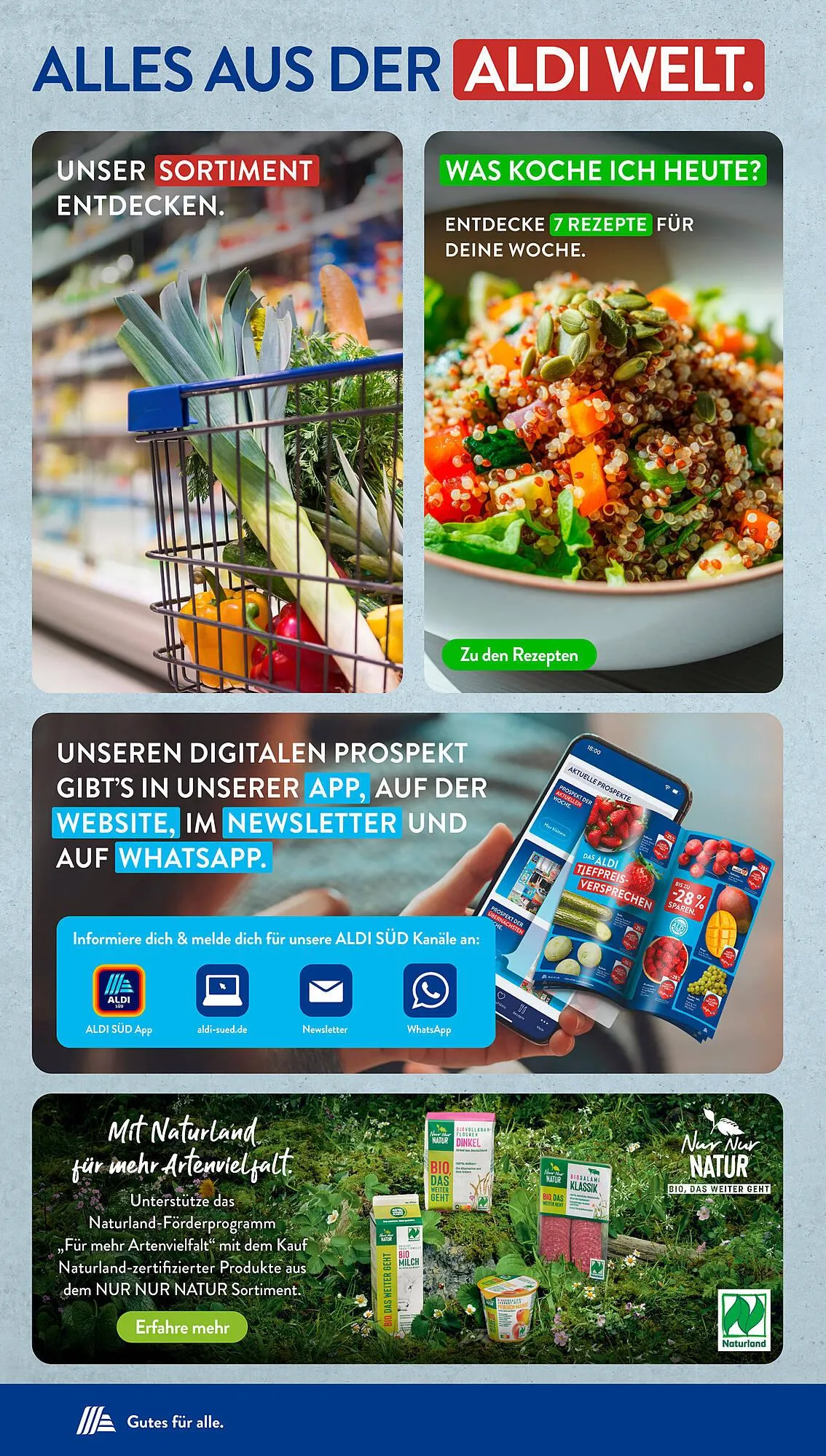 Aldi Süd Prospekt von 11. August bis 16. August 2025 - Prospekt seite 42