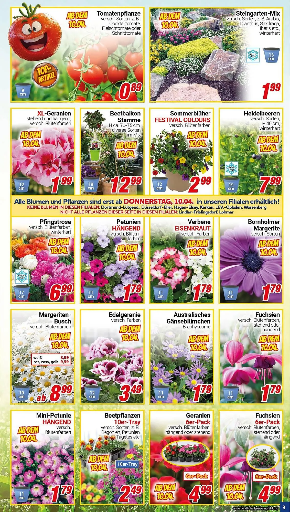 CENTERSHOP Prospekt von 7. April bis 12. April 2025 - Prospekt seite 3