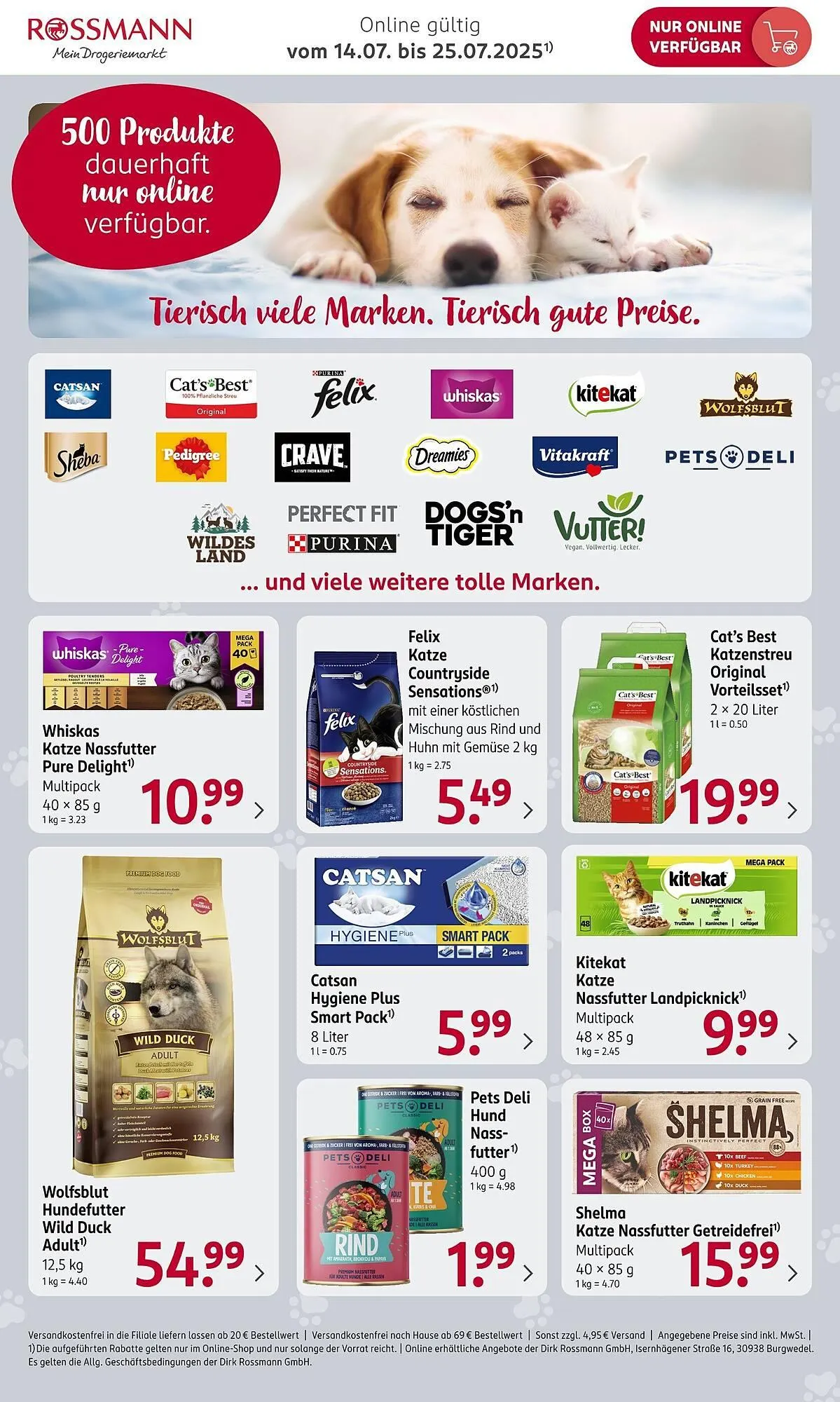 Rossmann Prospekt von 14. Juli bis 25. Juli 2025 - Prospekt seite 2