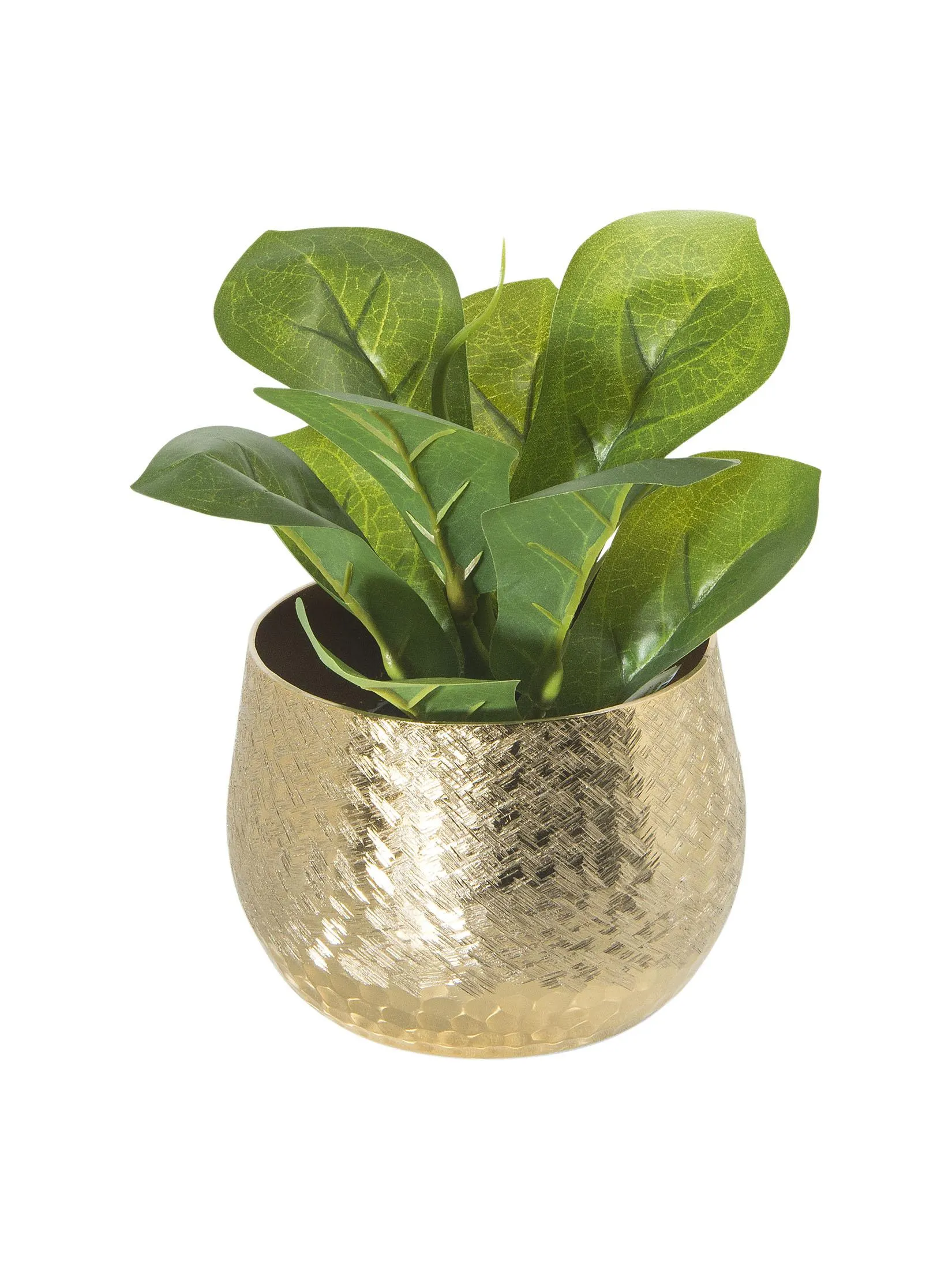 Tarana Pflanztopf, Gold