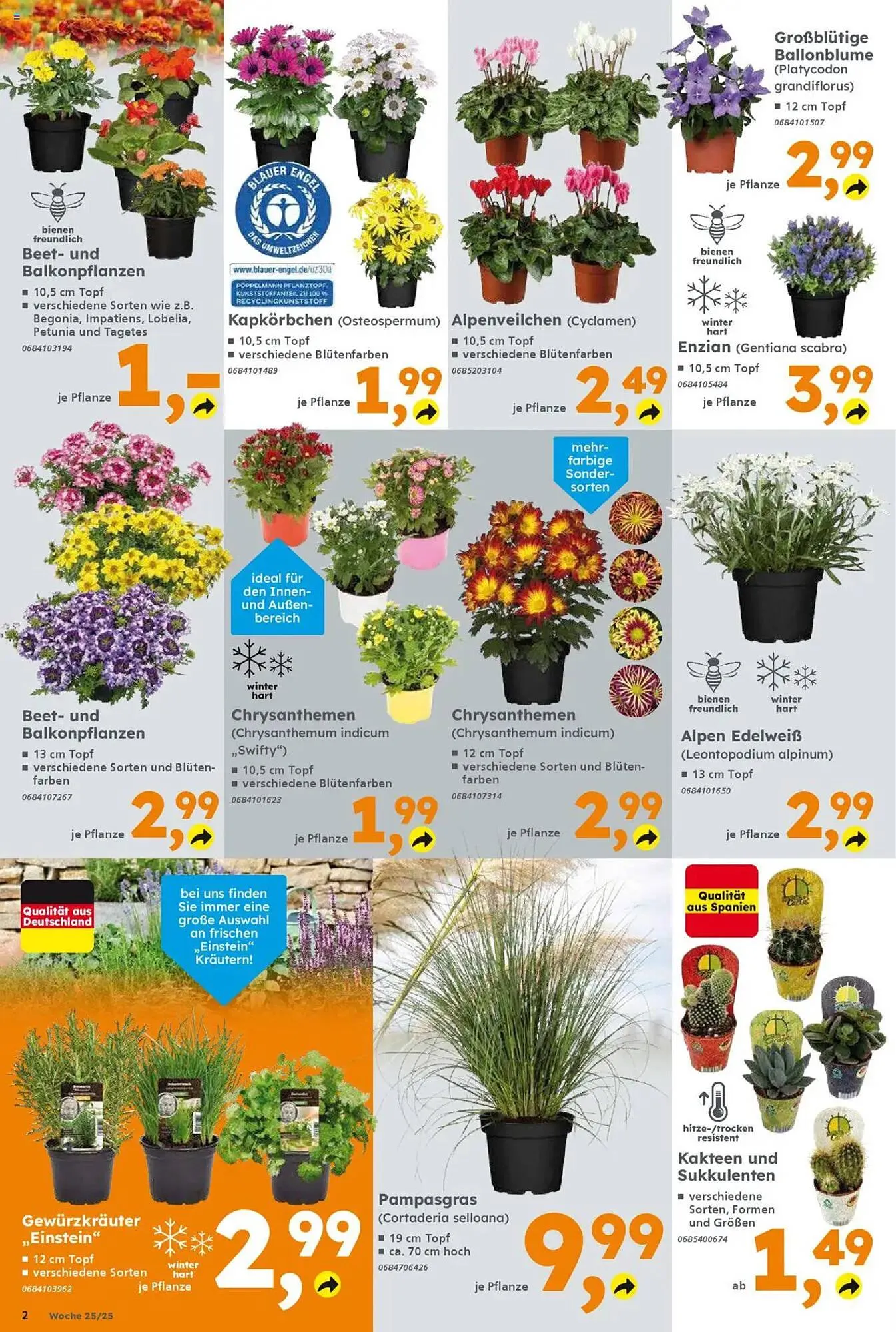 Globus Baumarkt Prospekt von 16. Juni bis 21. Juni 2025 - Prospekt seite 2