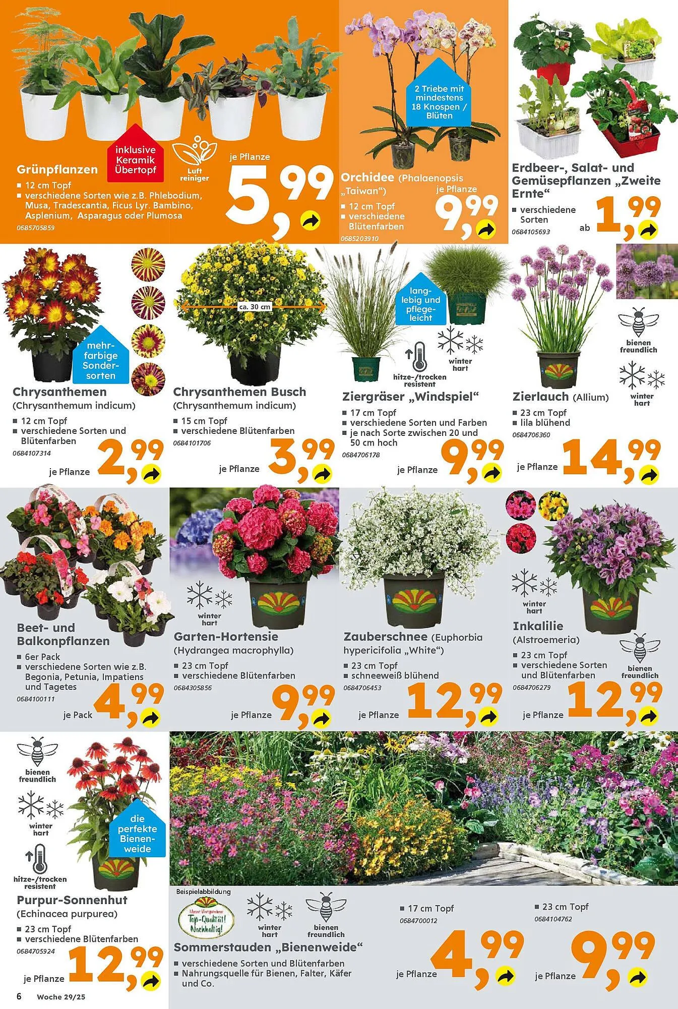 Globus Baumarkt Prospekt von 13. Juli bis 19. Juli 2025 - Prospekt seite 6