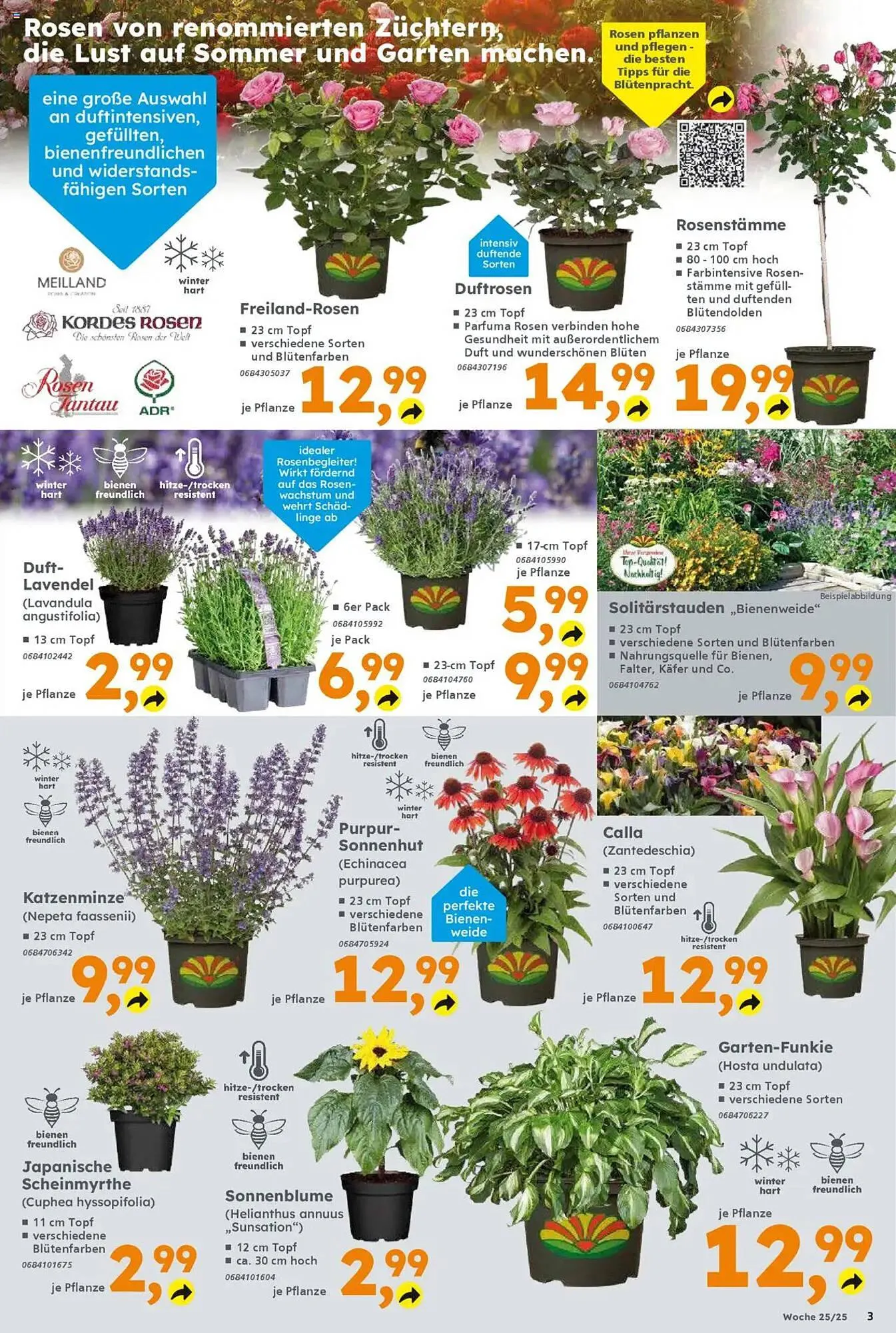 Globus Baumarkt Prospekt von 16. Juni bis 21. Juni 2025 - Prospekt seite 3