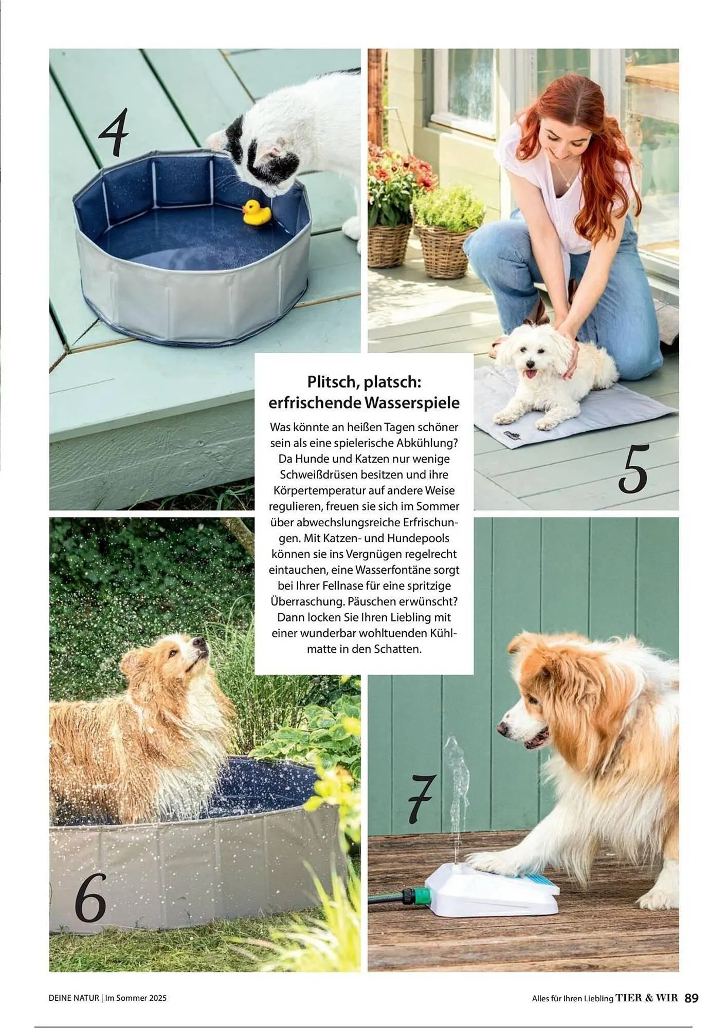 Dehner Prospekt von 1. Juli bis 31. Dezember 2025 - Prospekt seite 89