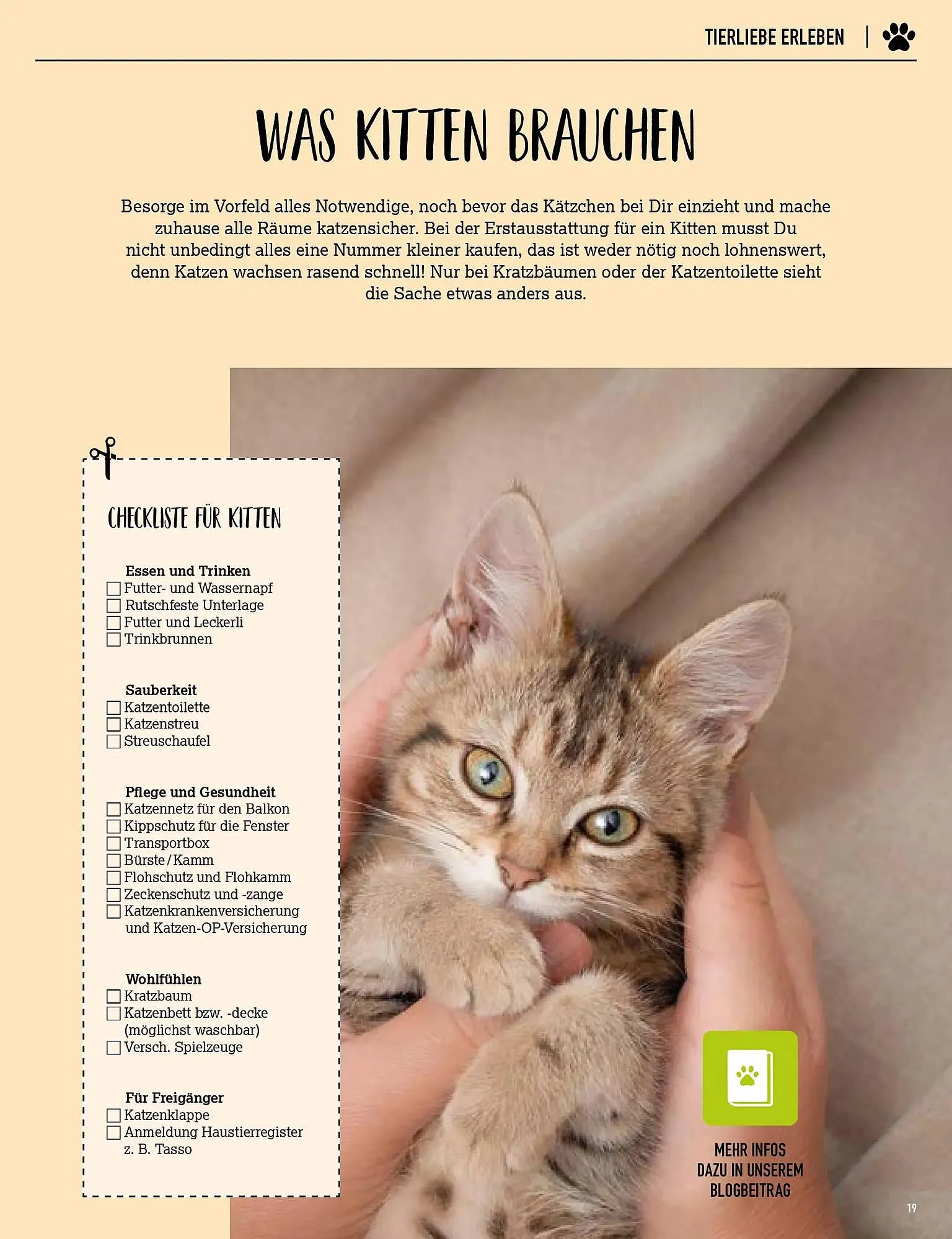 Kölle Zoo Prospekt von 25. März bis 2. April 2026 - Prospekt seite 19