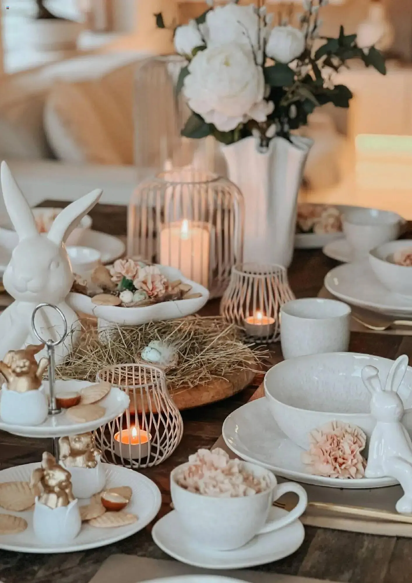 Depot Prospekt von 12. März bis 11. April 2025 - Prospekt seite 15