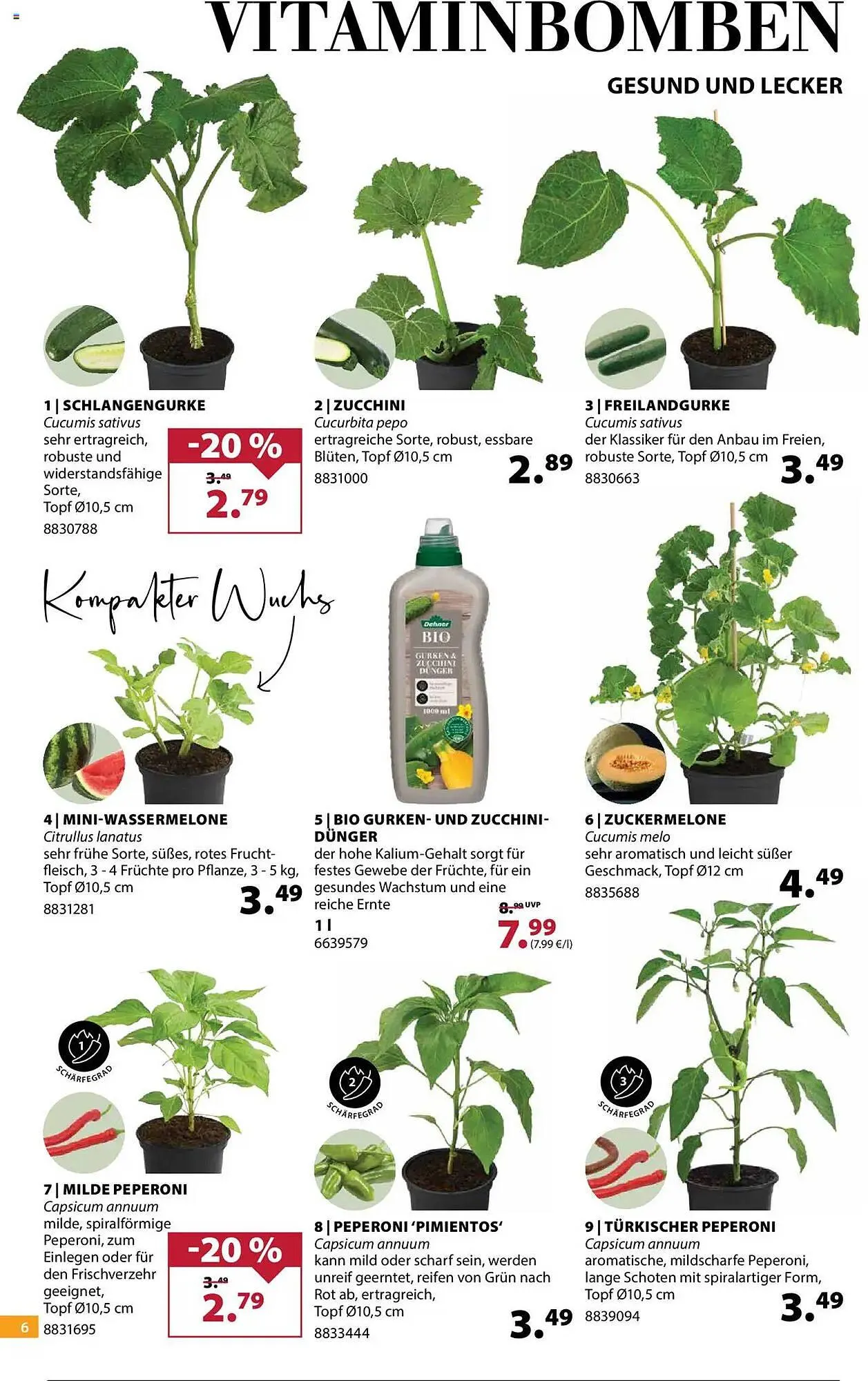 Dehner Prospekt von 14. Mai bis 19. Mai 2025 - Prospekt seite 6