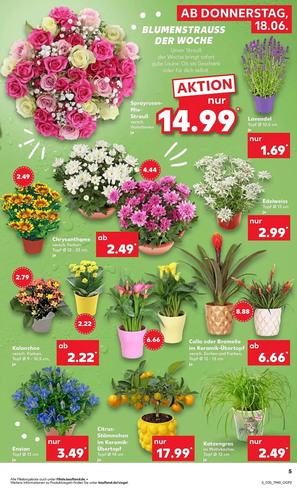 Kaufland Prospekt von 14. Juni bis 17. Juni 2026 - Prospekt seite 14