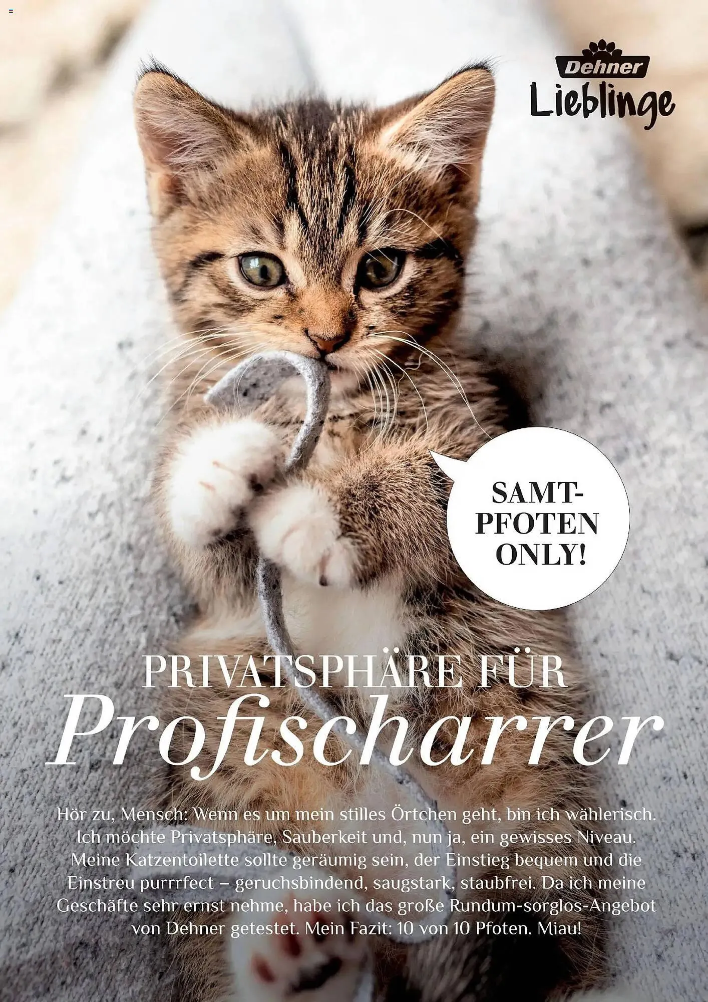 Dehner Prospekt von 4. März bis 31. Mai 2026 - Prospekt seite 87