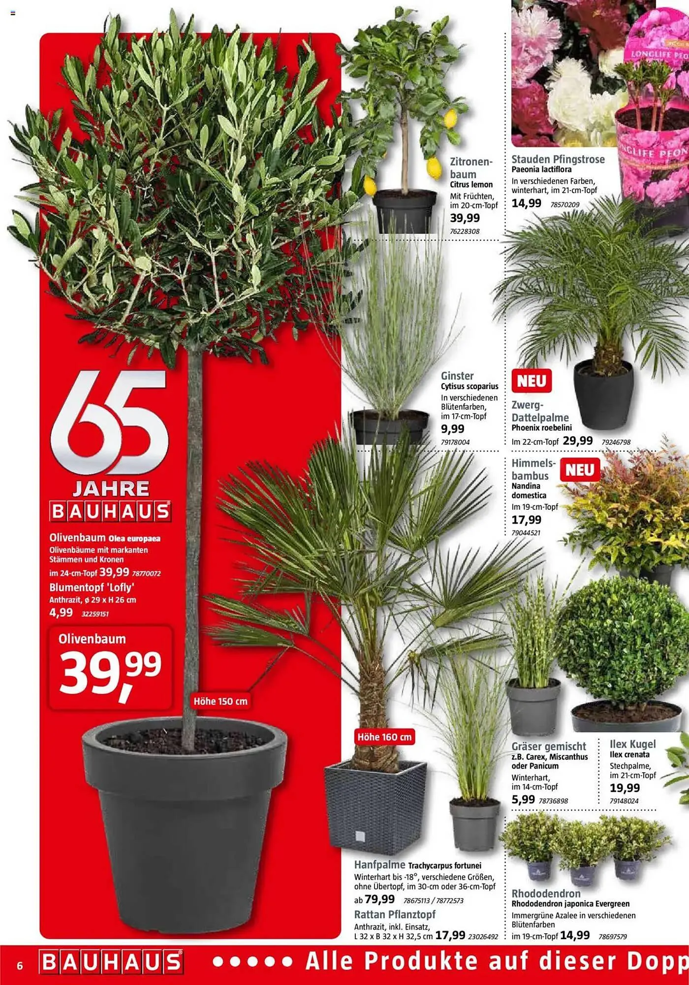 Bauhaus Prospekt von 29. März bis 3. Mai 2025 - Prospekt seite 6