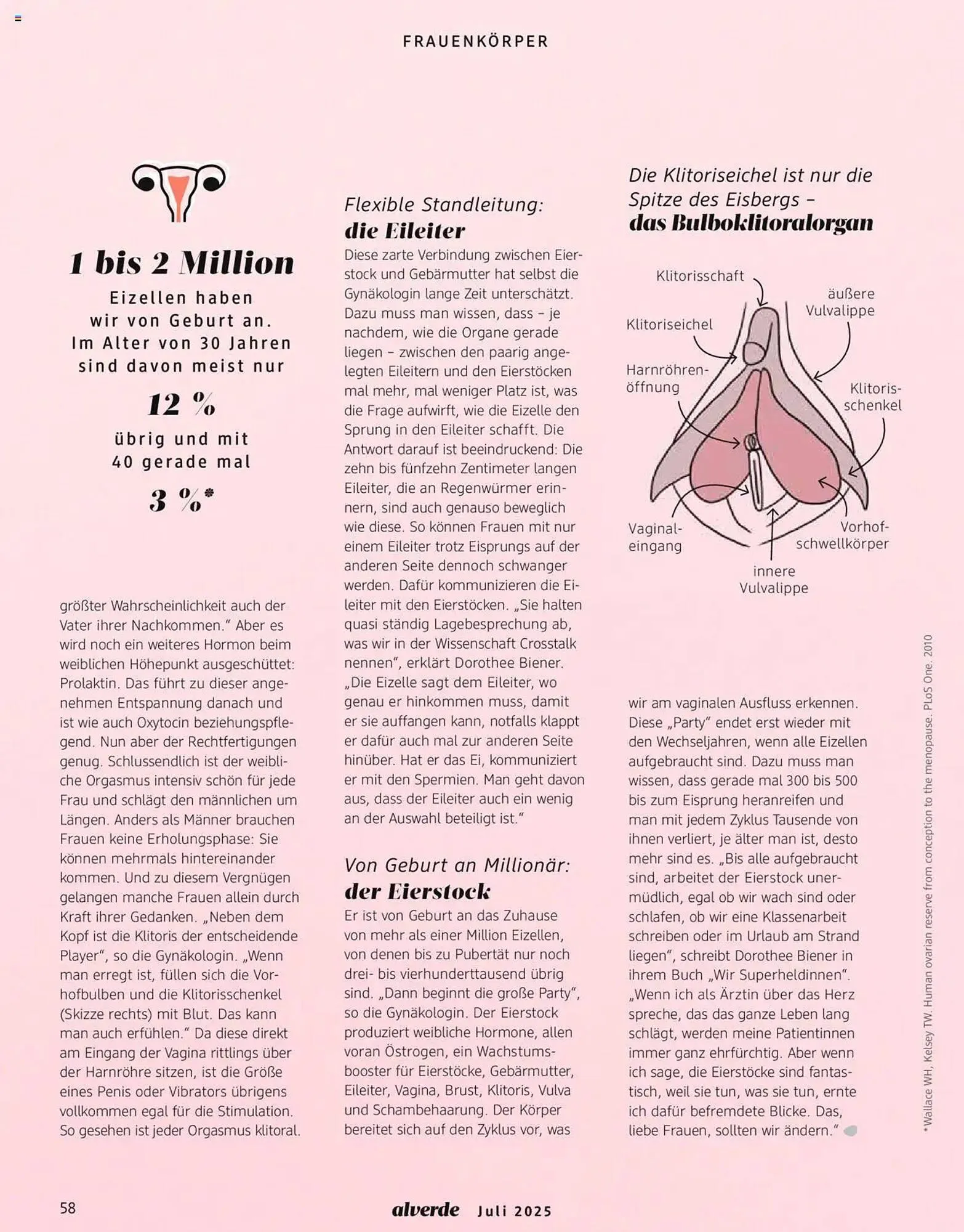 dm drogerie Prospekt von 1. Juli bis 31. Juli 2025 - Prospekt seite 58