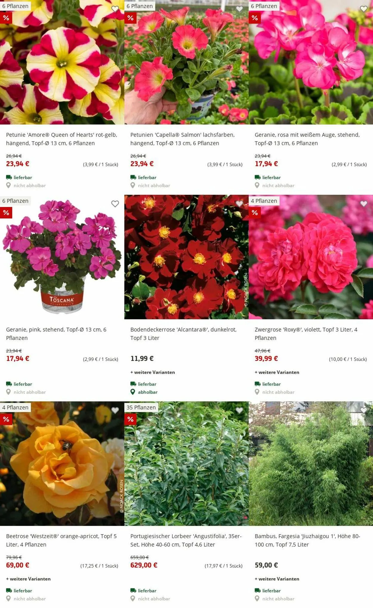 Pflanzen-Kölle Aktueller Prospekt von 30. Juni bis 9. Juli 2025 - Prospekt seite 4