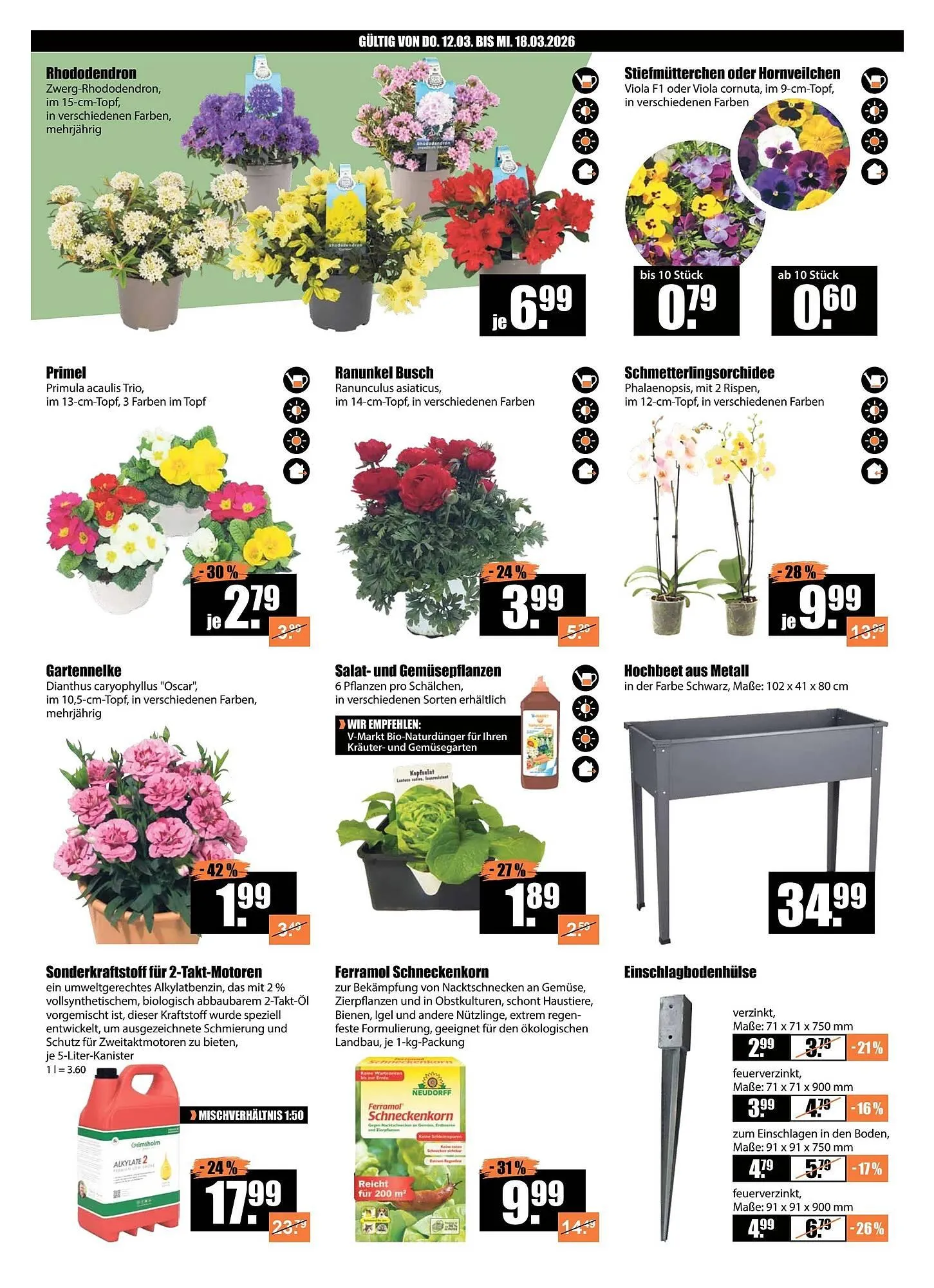 V Baumarkt Prospekt von 12. März bis 18. März 2026 - Prospekt seite 2