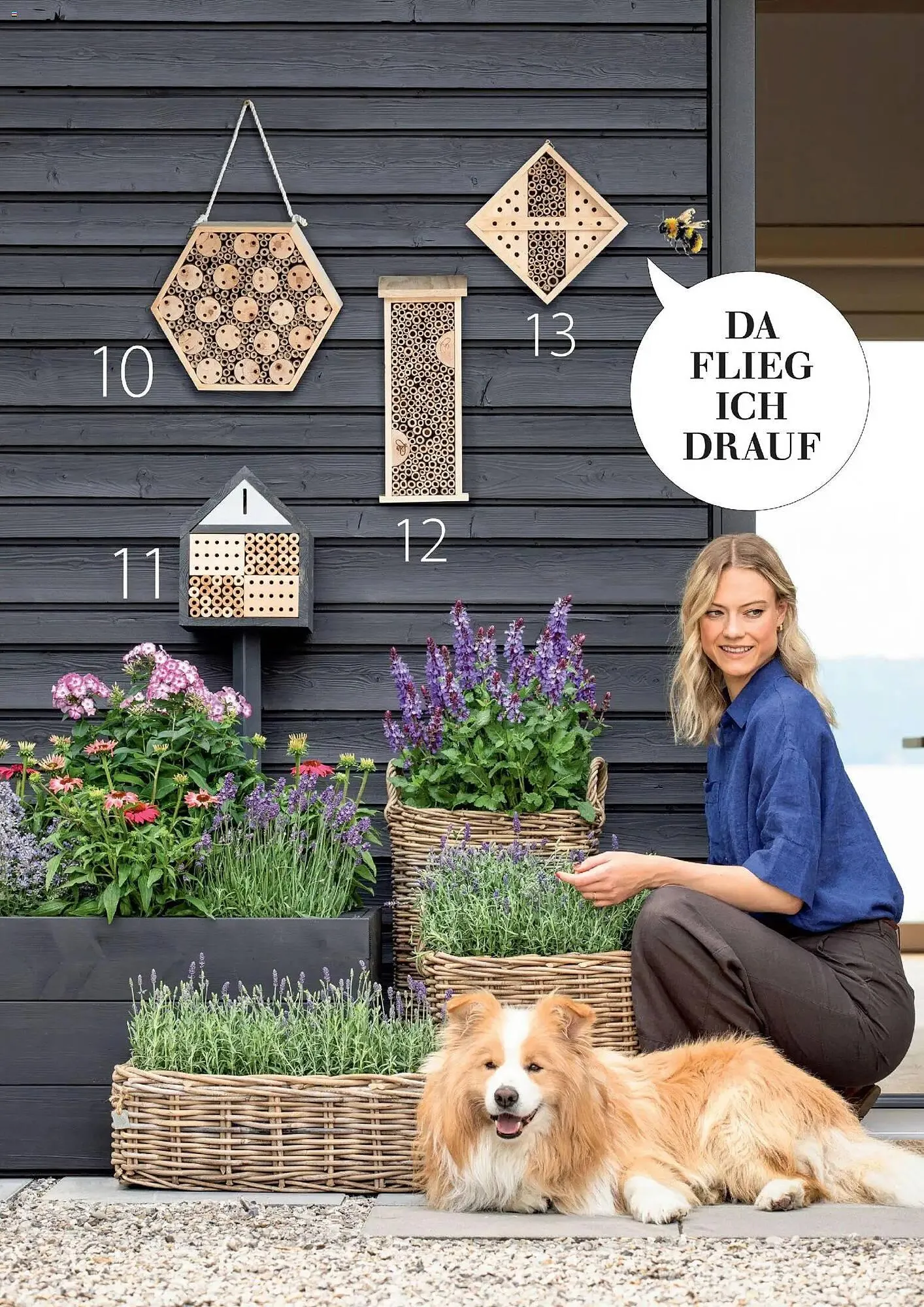 Dehner Prospekt von 4. März bis 31. Mai 2026 - Prospekt seite 95