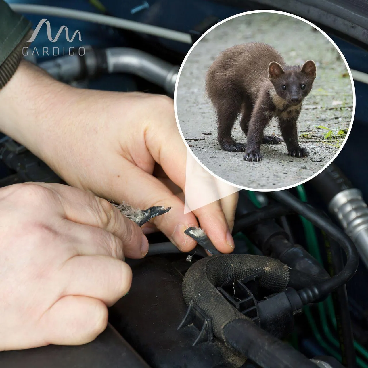 Marder-Frei Indoor LED