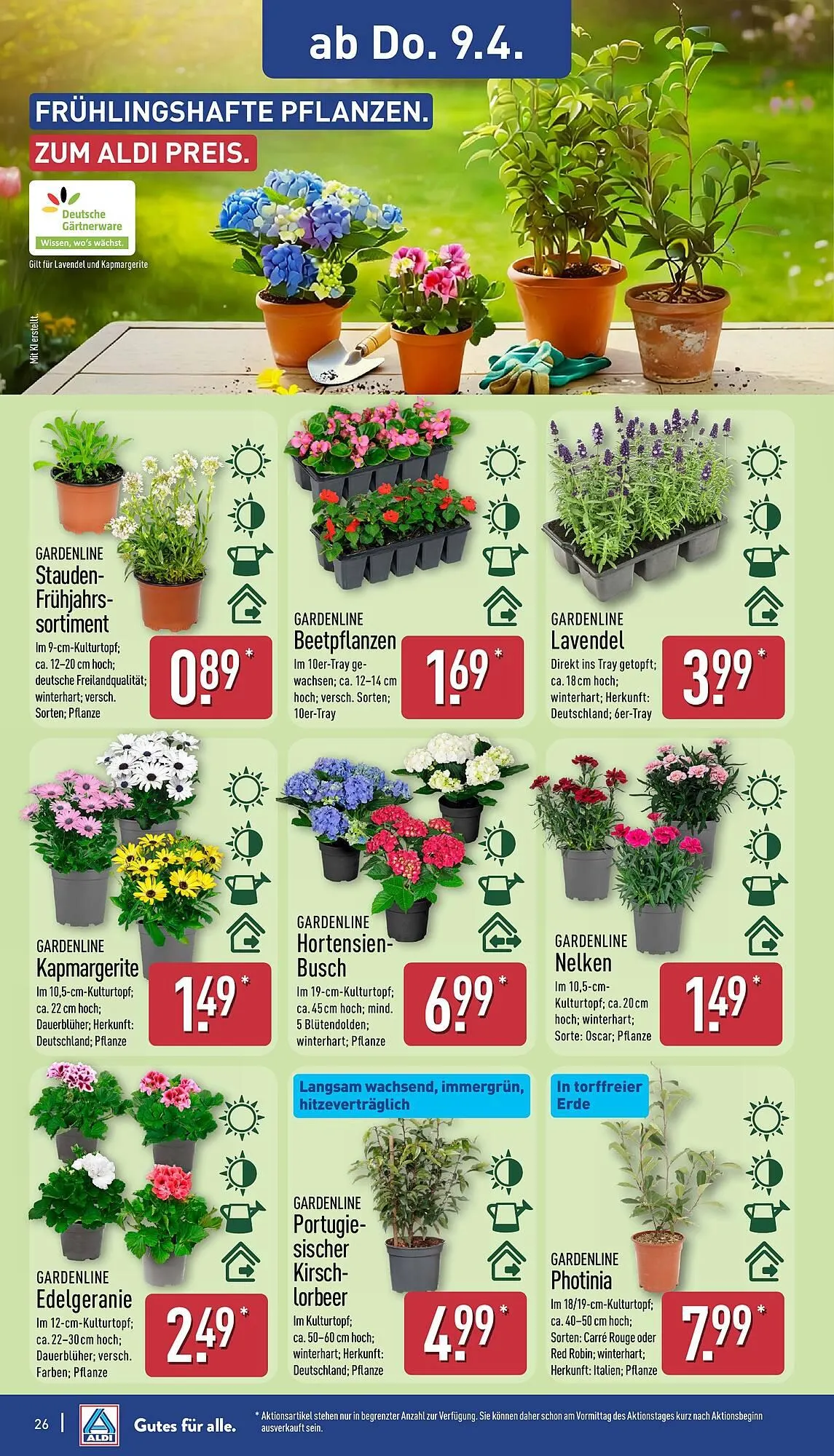 Aldi Nord Prospekt von 7. April bis 11. April 2026 - Prospekt seite 26