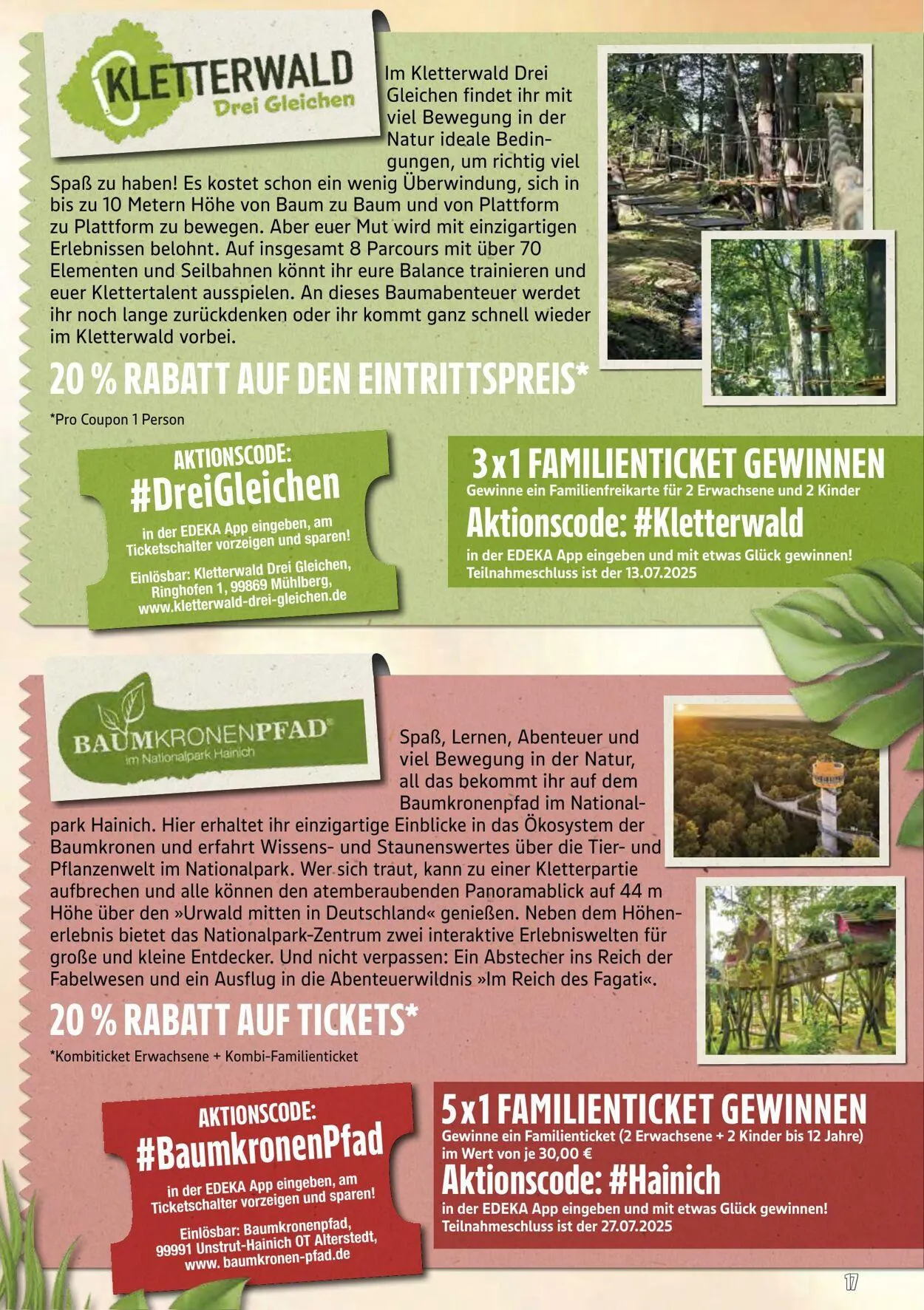 Marktkauf - Nürnberg-Thon Aktueller Prospekt von 11. August bis 16. August 2025 - Prospekt seite 61